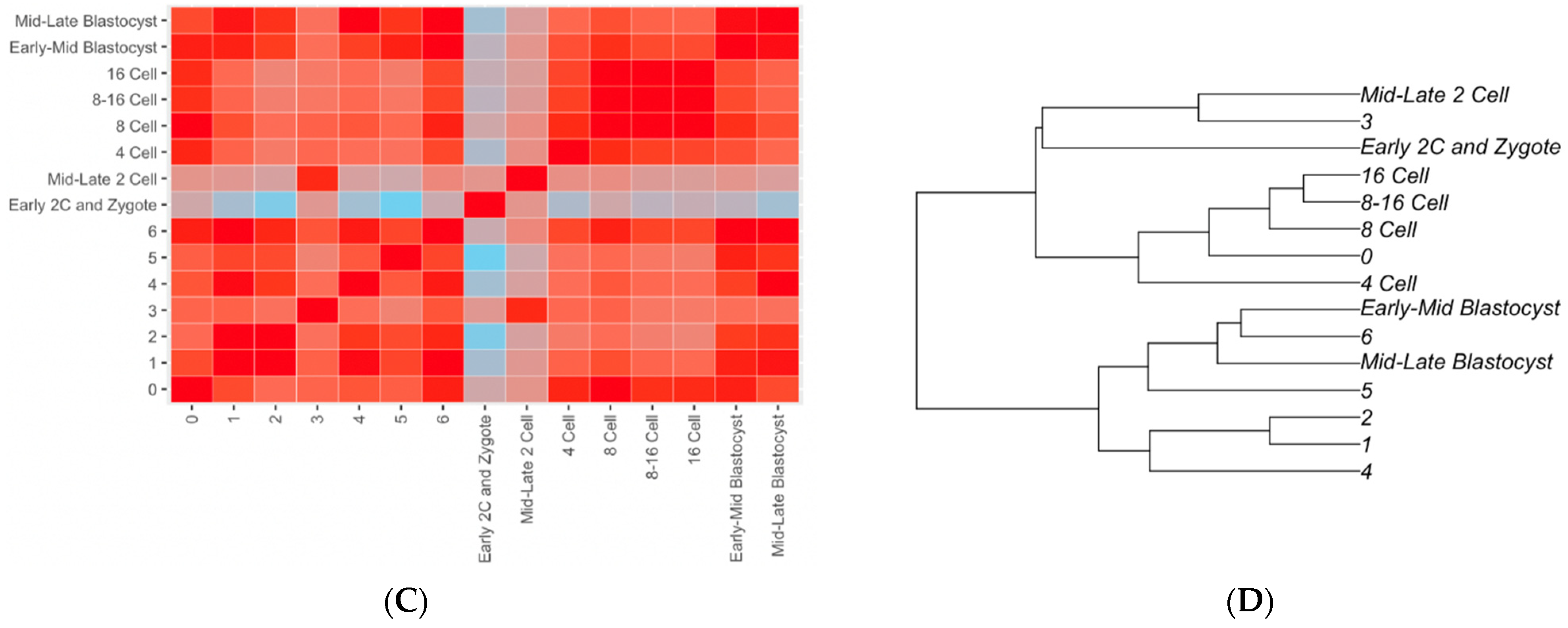 Cells 10 03111 g008b