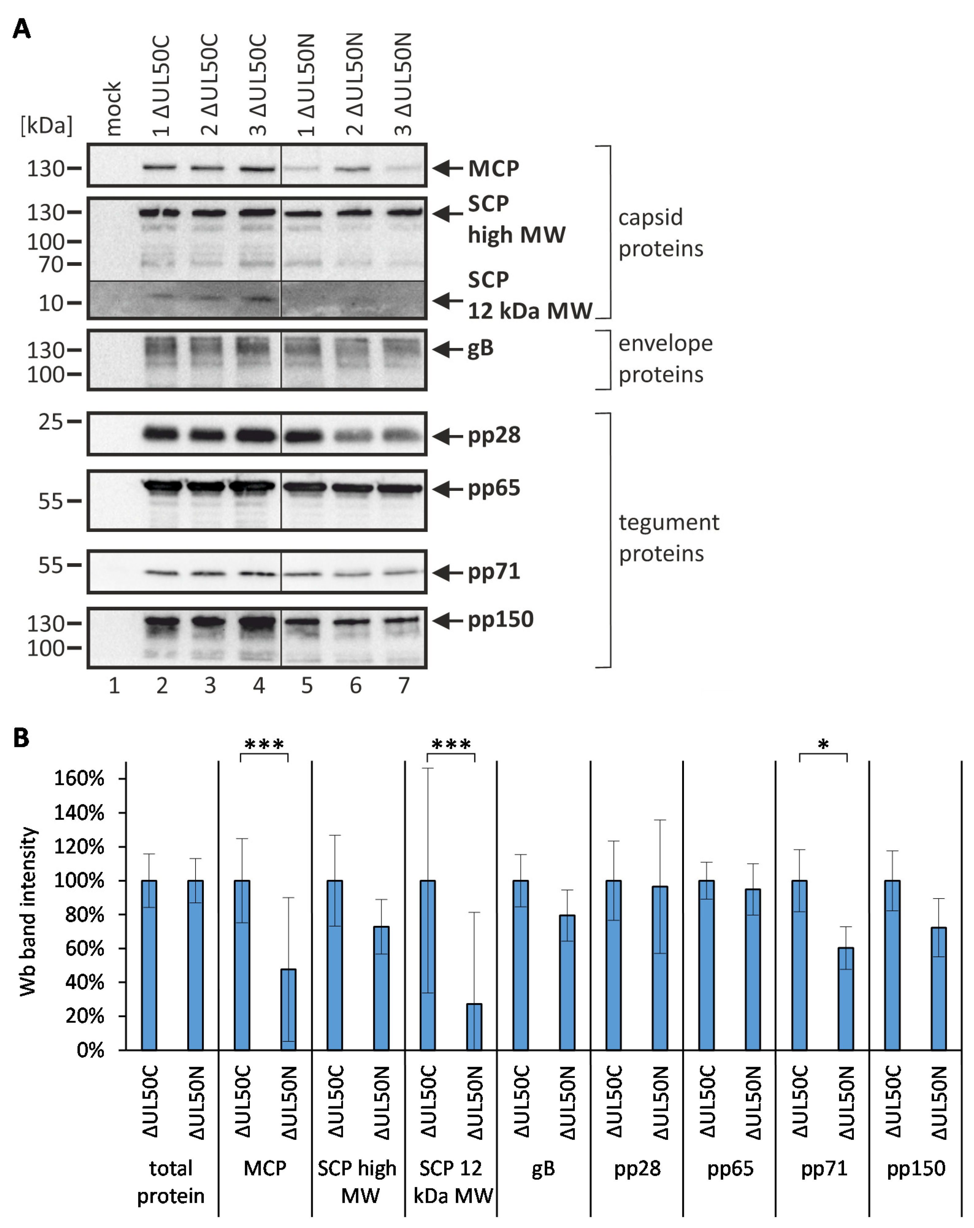 Cells 10 03119 g004