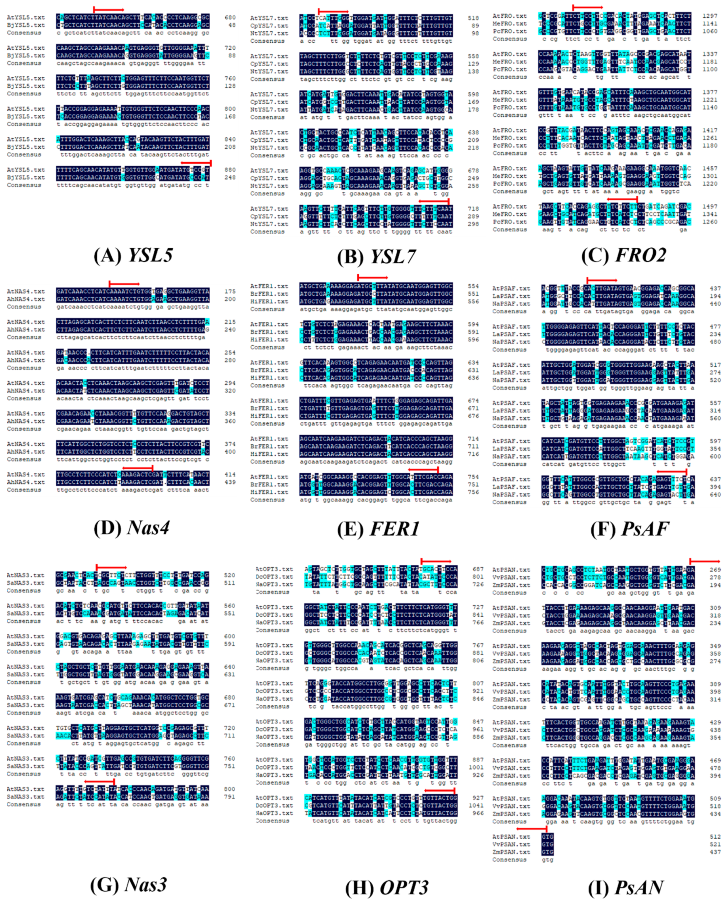 Cells 10 03151 g001