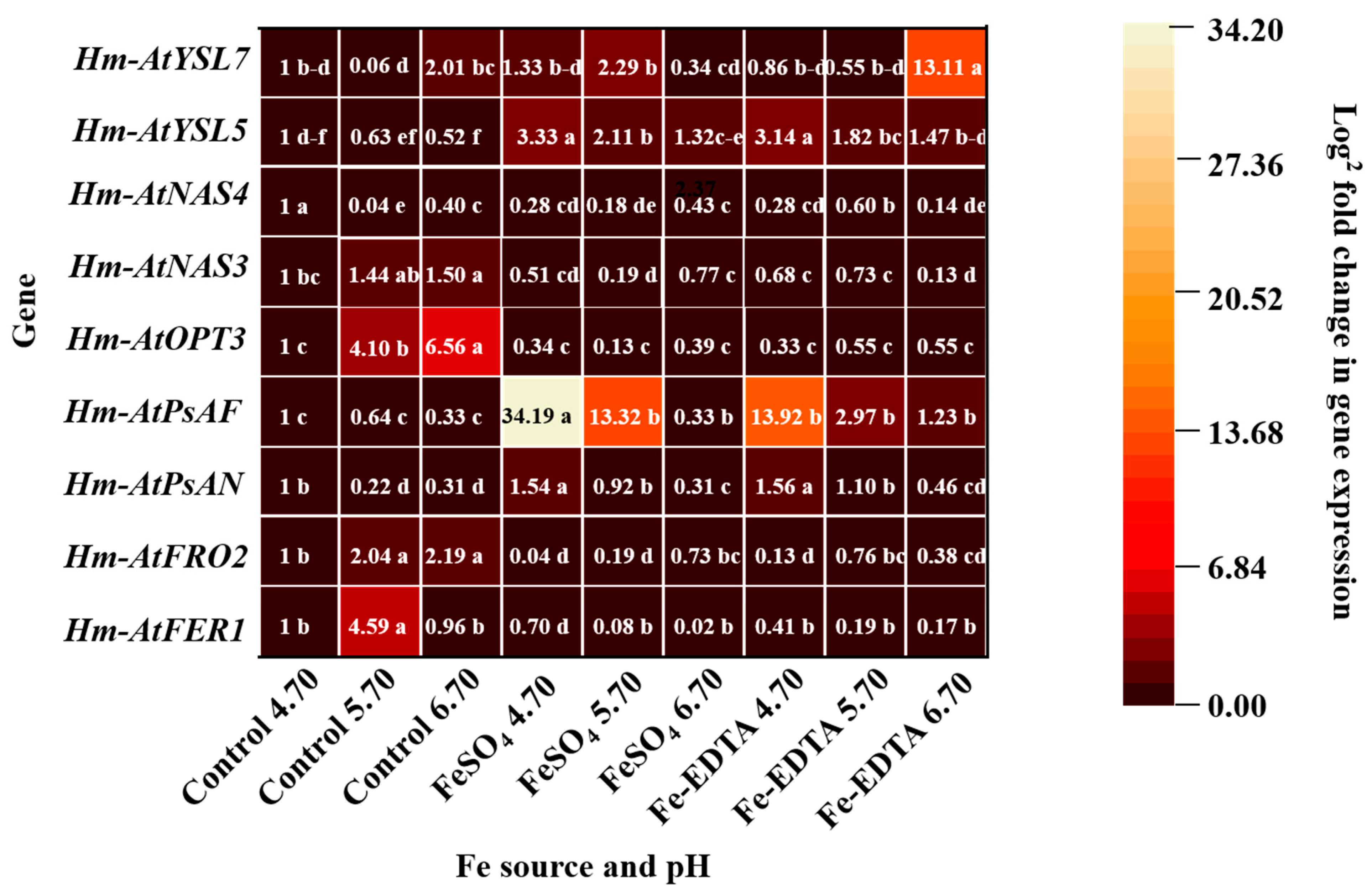 Cells 10 03151 g009