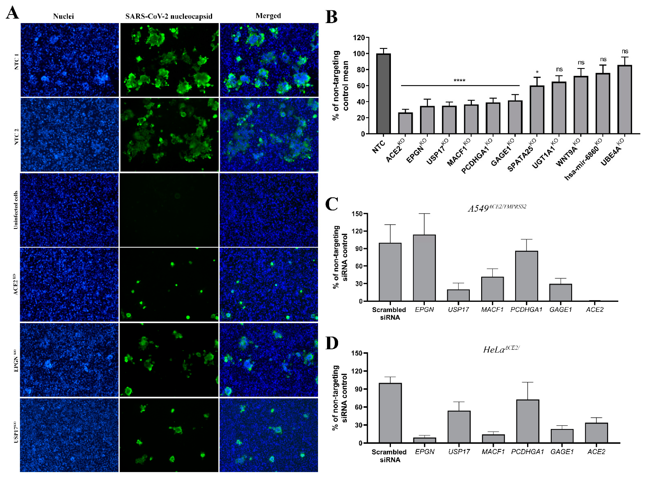 Cells 10 03159 g004 Cells 10 03159 g004