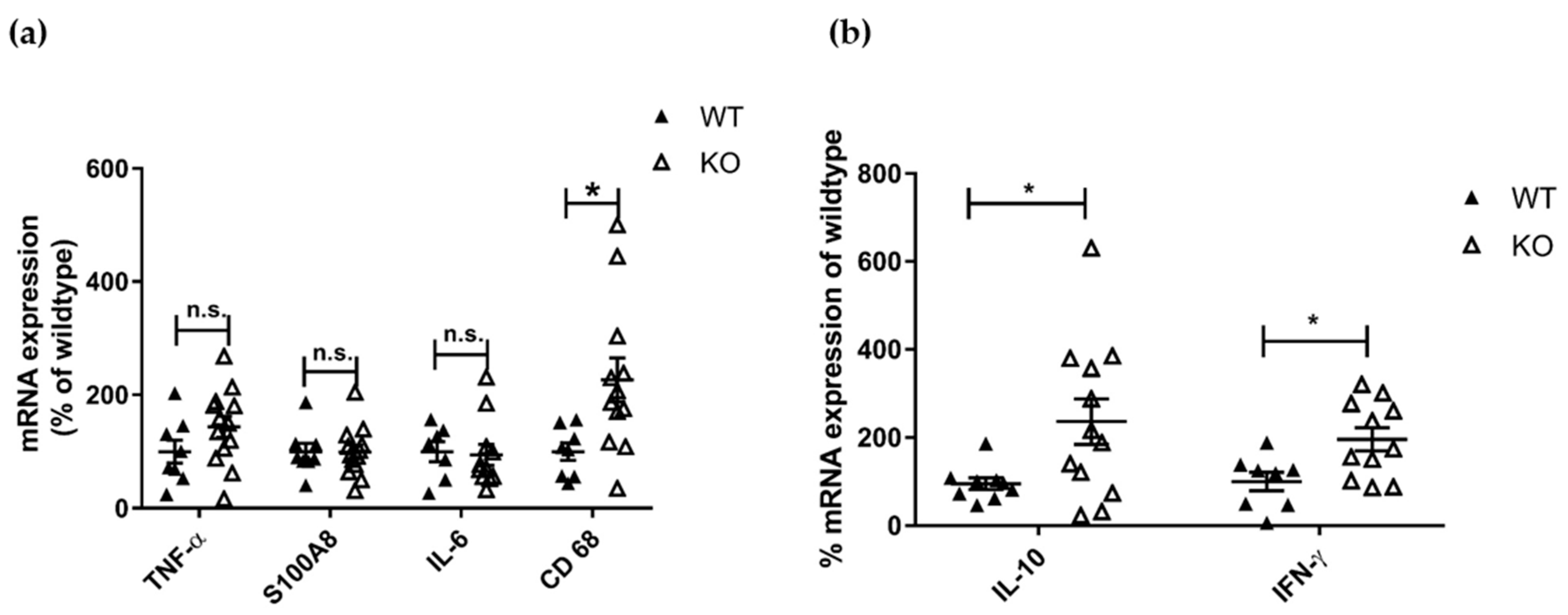 Cells 10 03167 g003 Cells 10 03167 g003