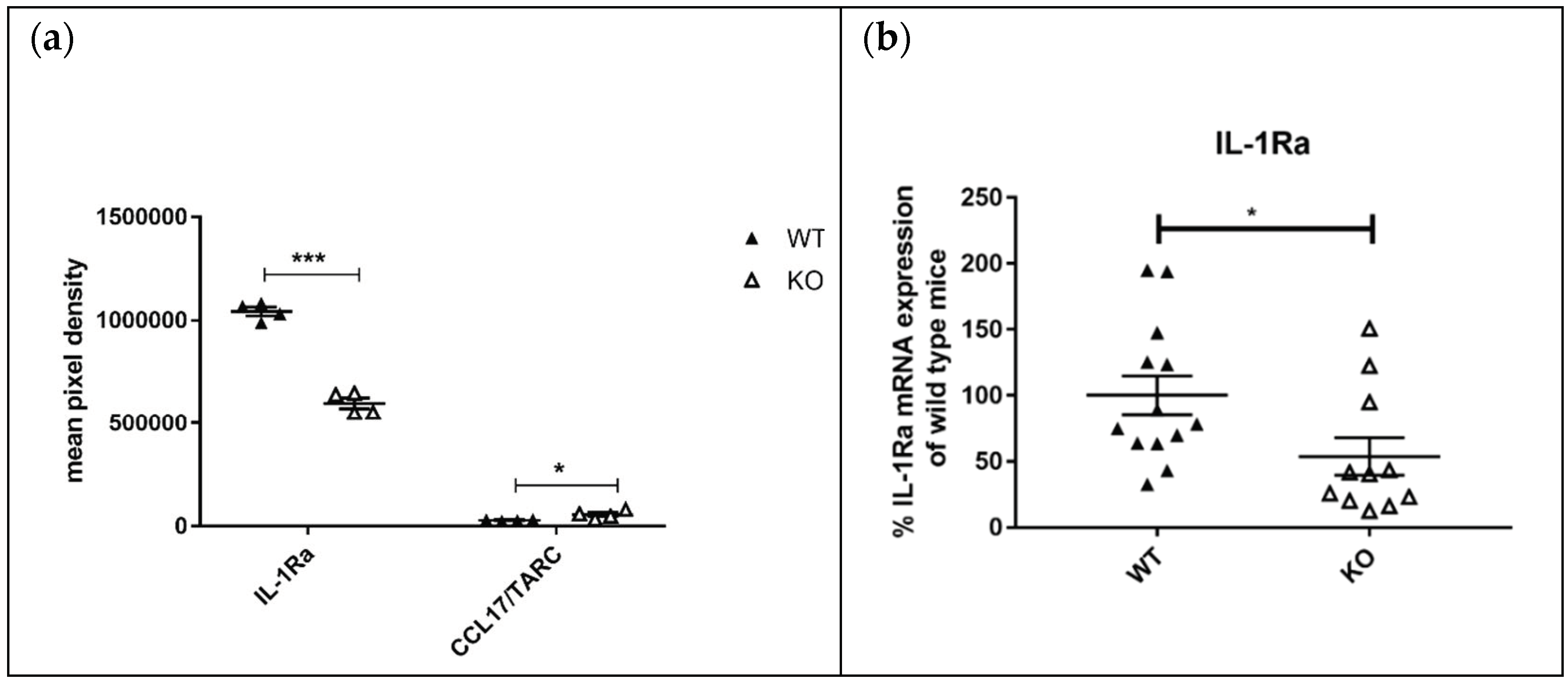Cells 10 03167 g006 Cells 10 03167 g006