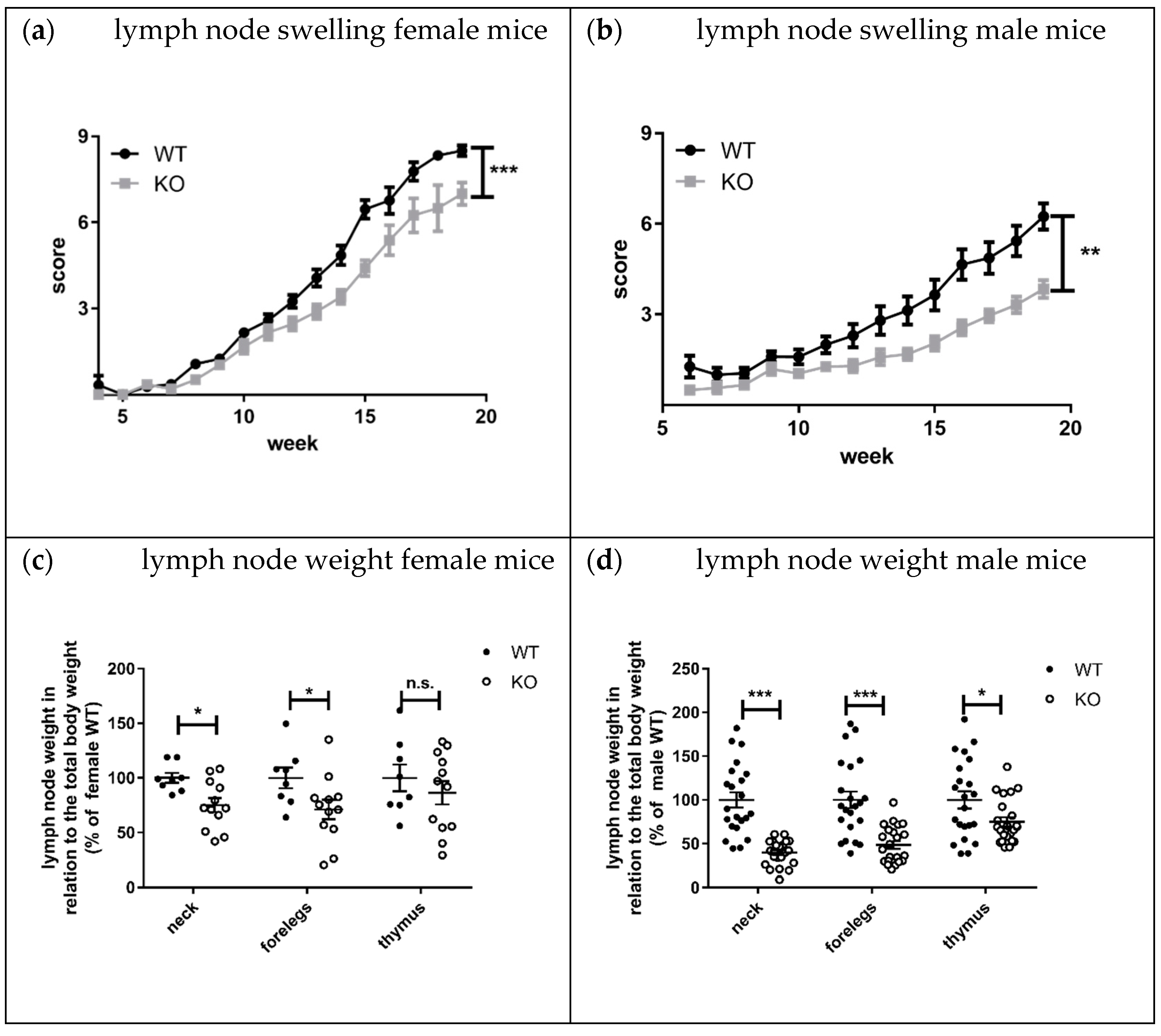 Cells 10 03167 g007 Cells 10 03167 g007