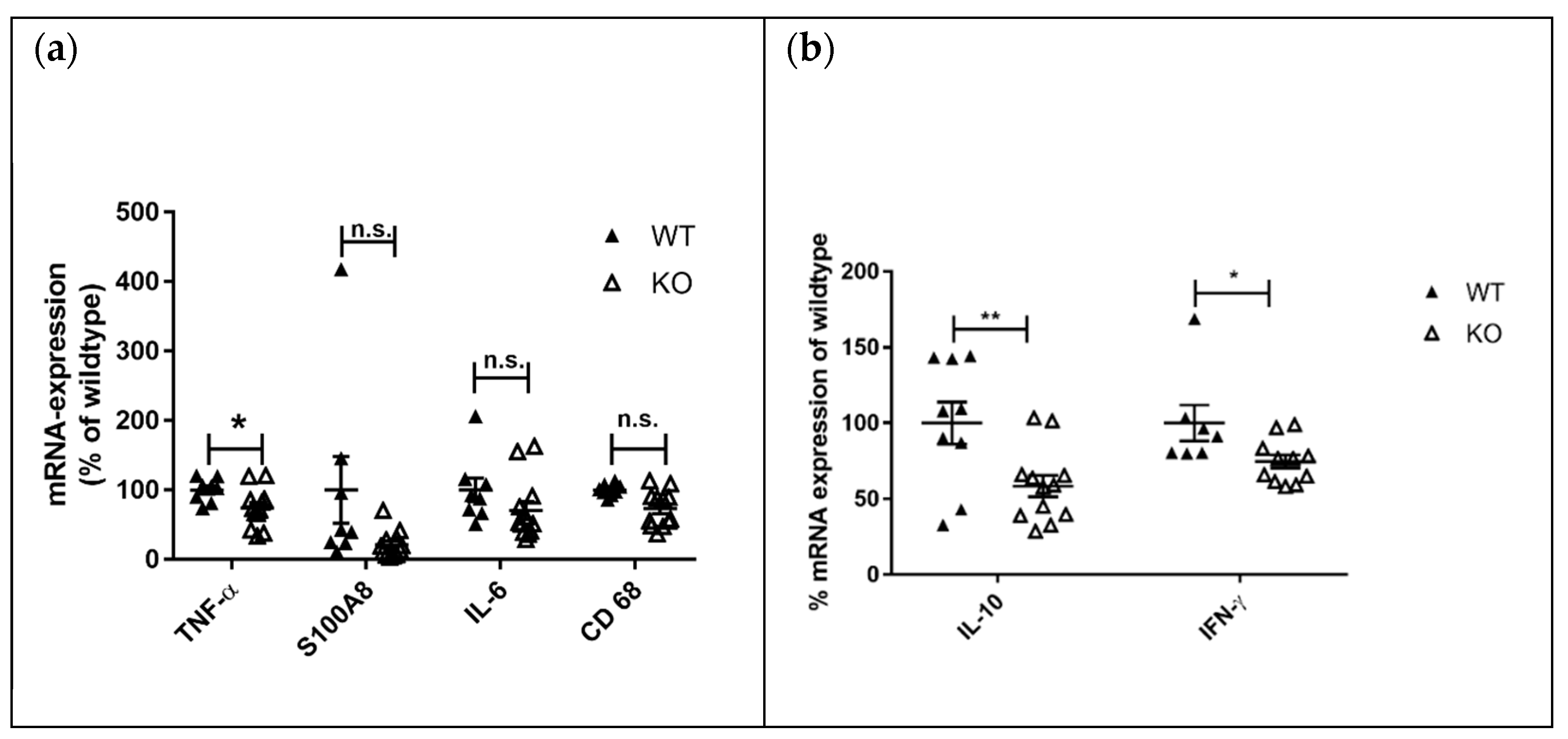 Cells 10 03167 g008 Cells 10 03167 g008