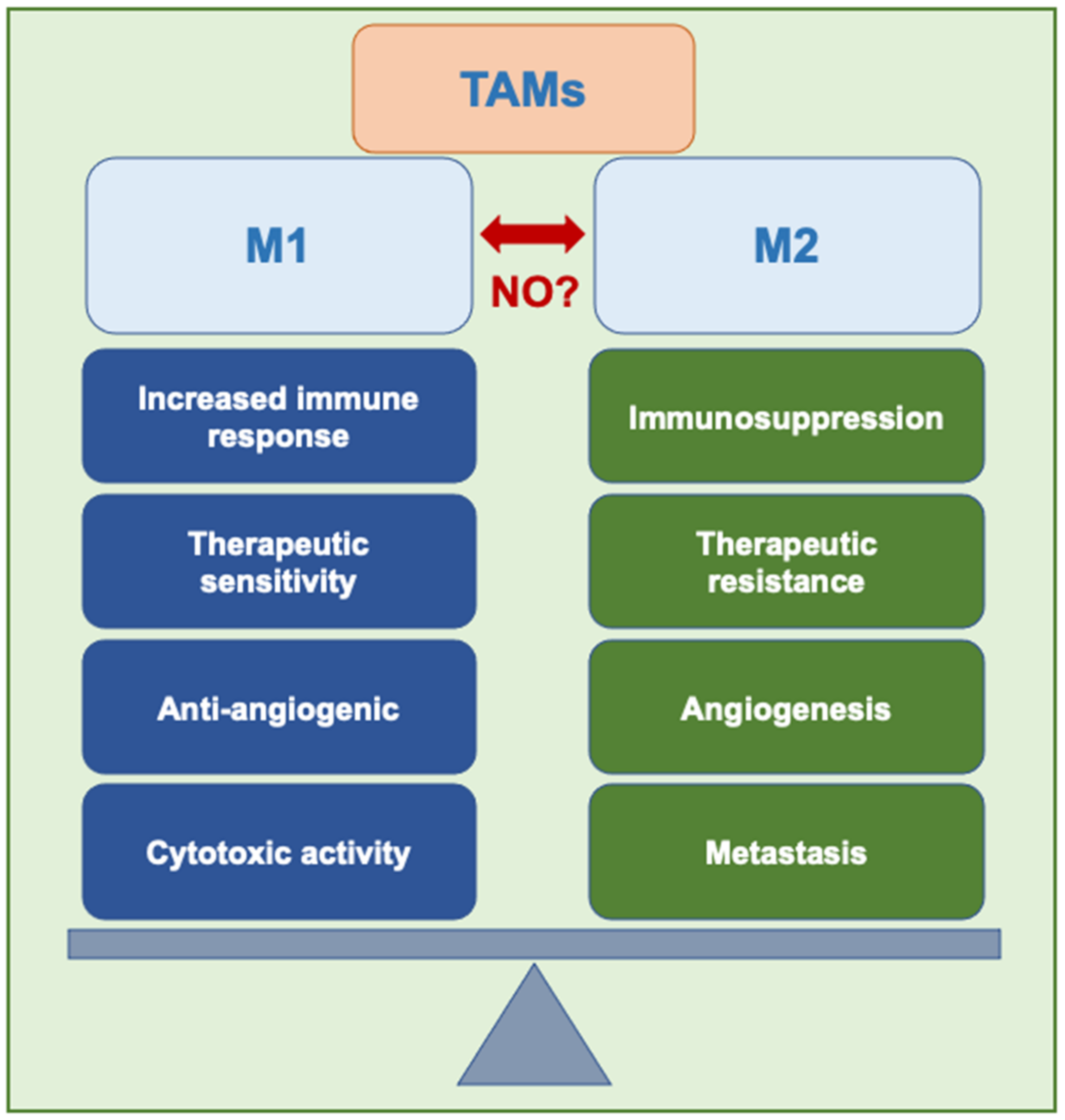 Cells 10 03194 g002 Cells 10 03194 g002