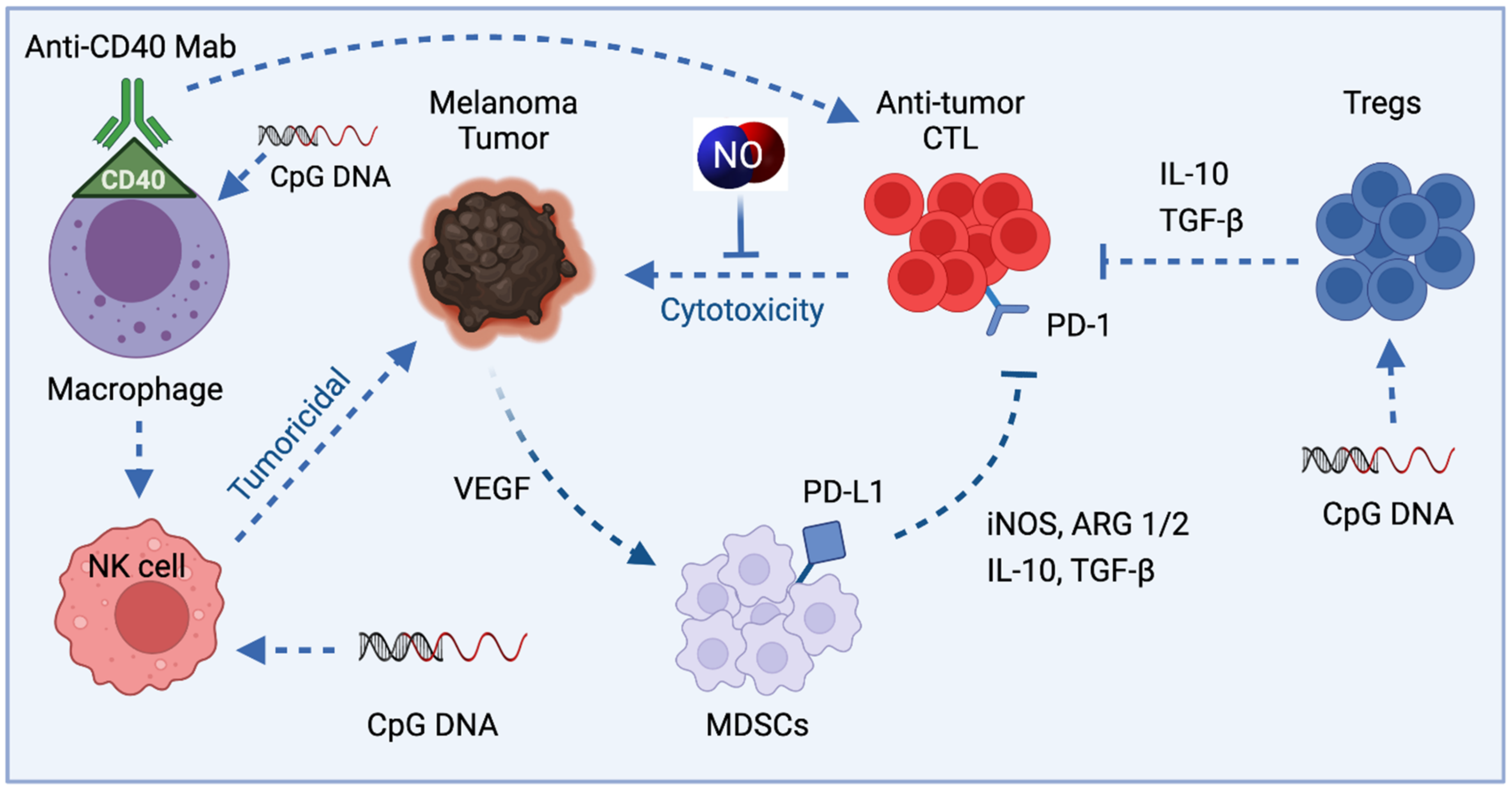 Cells 10 03194 g004 Cells 10 03194 g004