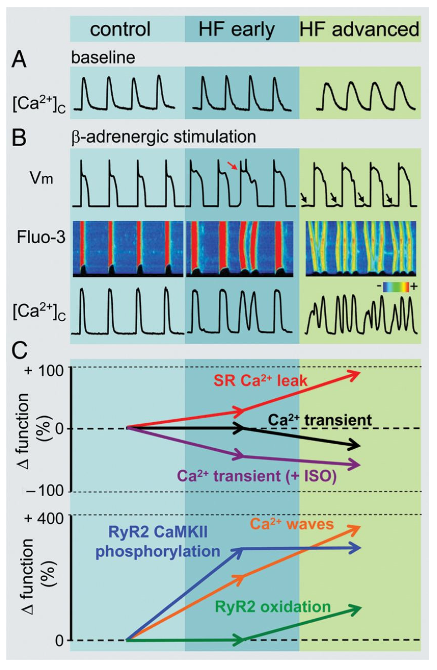 Cells 10 03203 g008 Cells 10 03203 g008