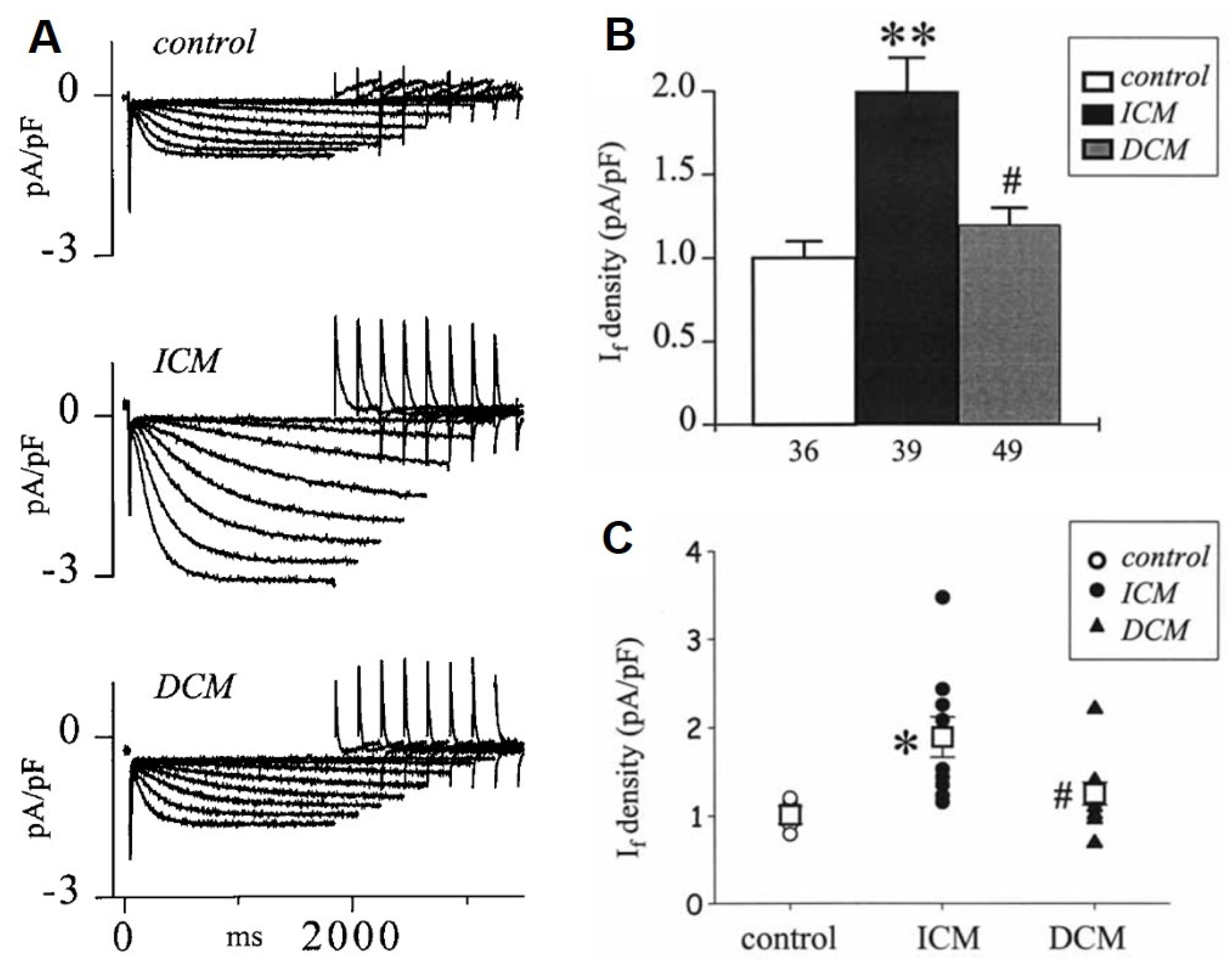 Cells 10 03203 g009 Cells 10 03203 g009