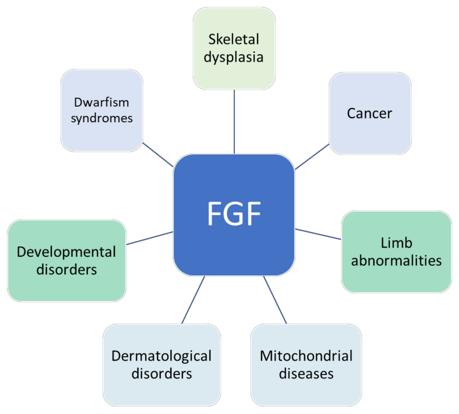 Cells 10 03242 g001 Cells 10 03242 g001