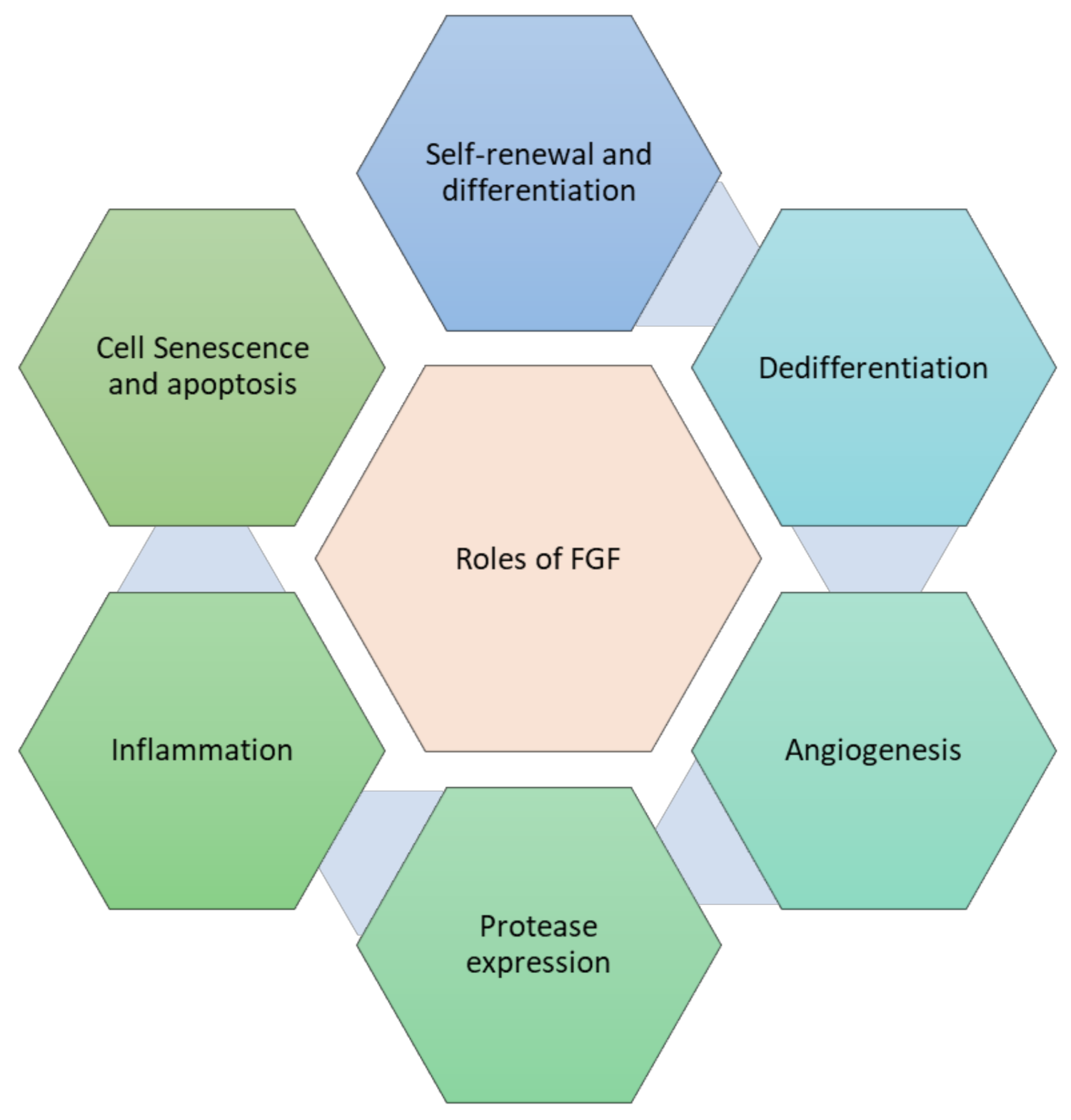 Cells 10 03242 g004 Cells 10 03242 g004