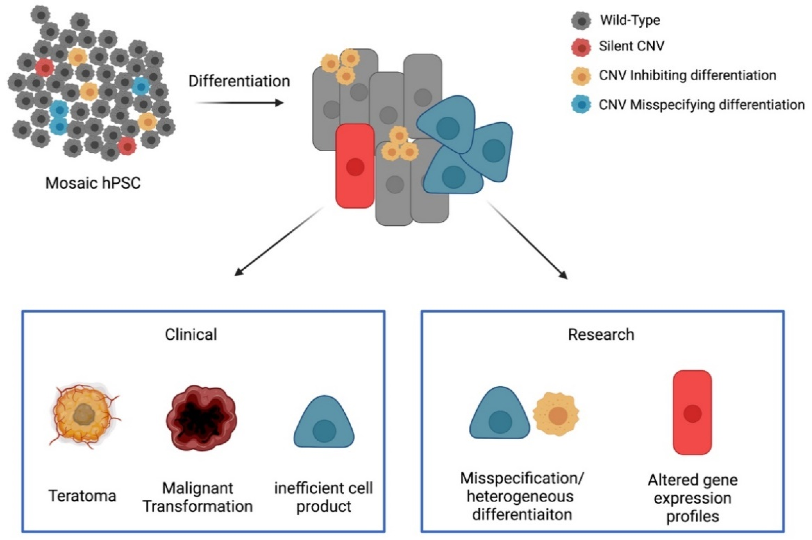 Cells 10 03246 g001 Cells 10 03246 g001