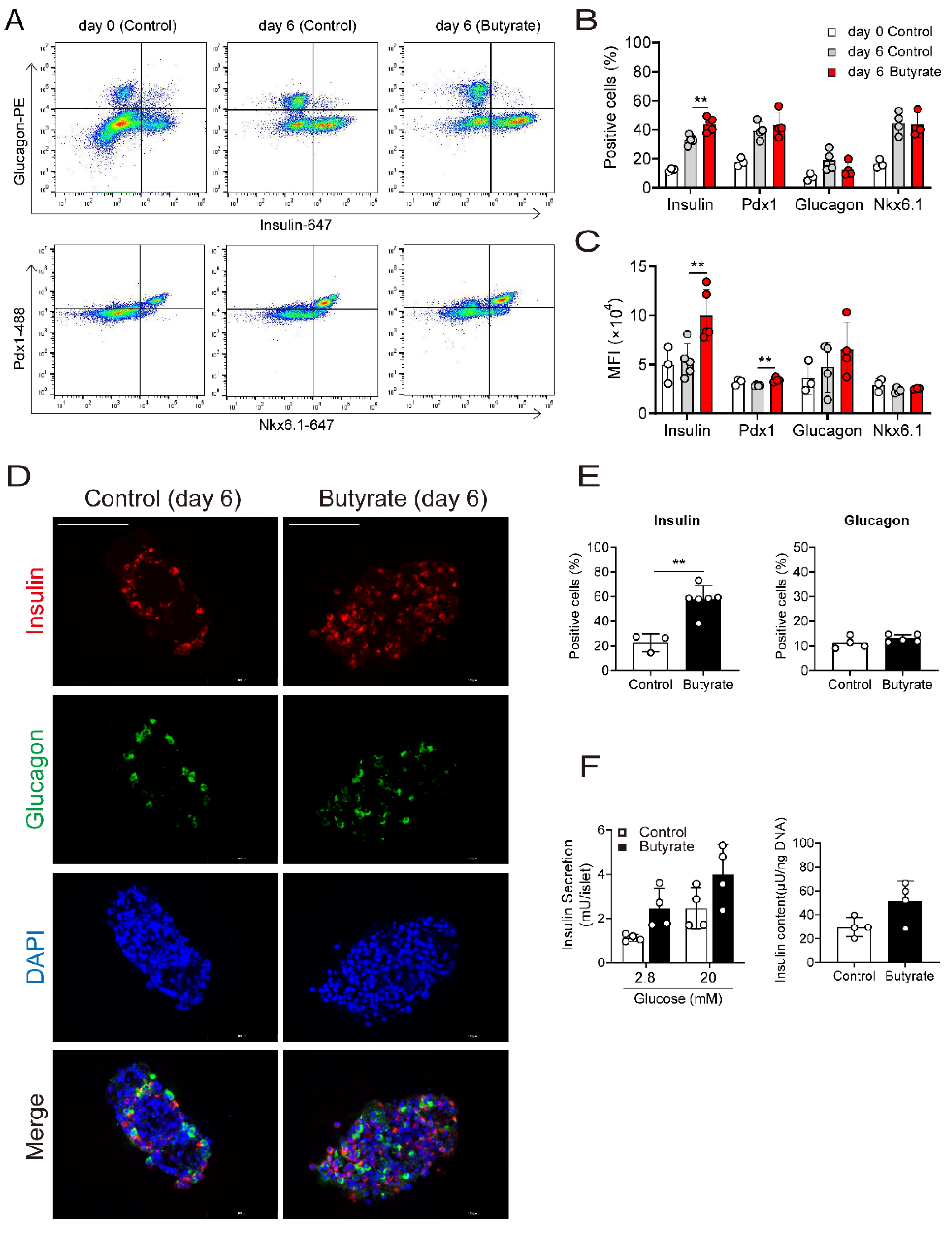 Cells 10 03249 g002 Cells 10 03249 g002