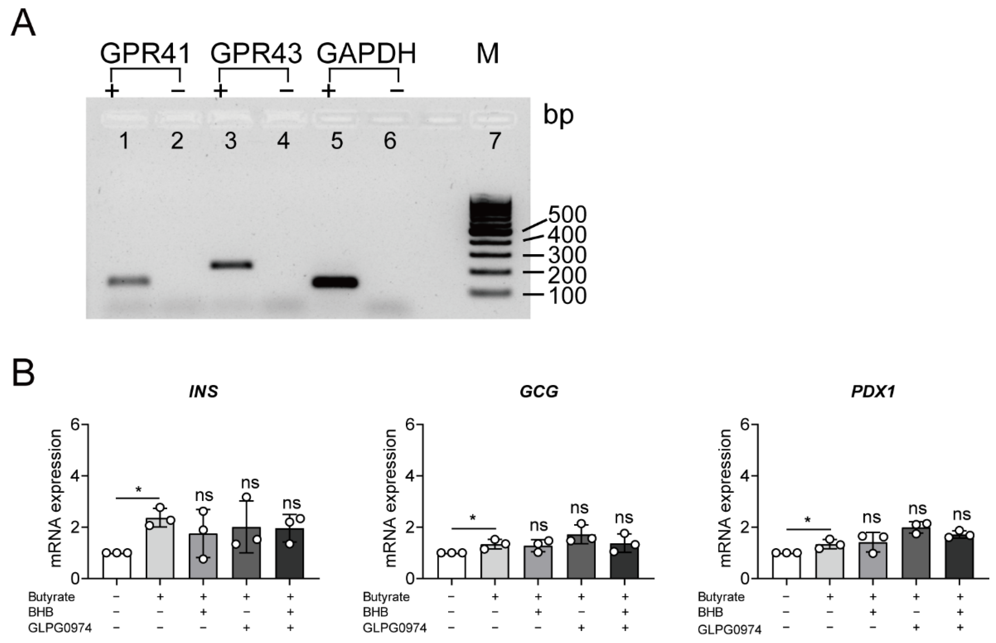 Cells 10 03249 g003 Cells 10 03249 g003