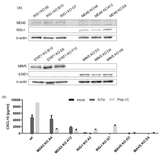 Cells 10 03253 g0a2 550