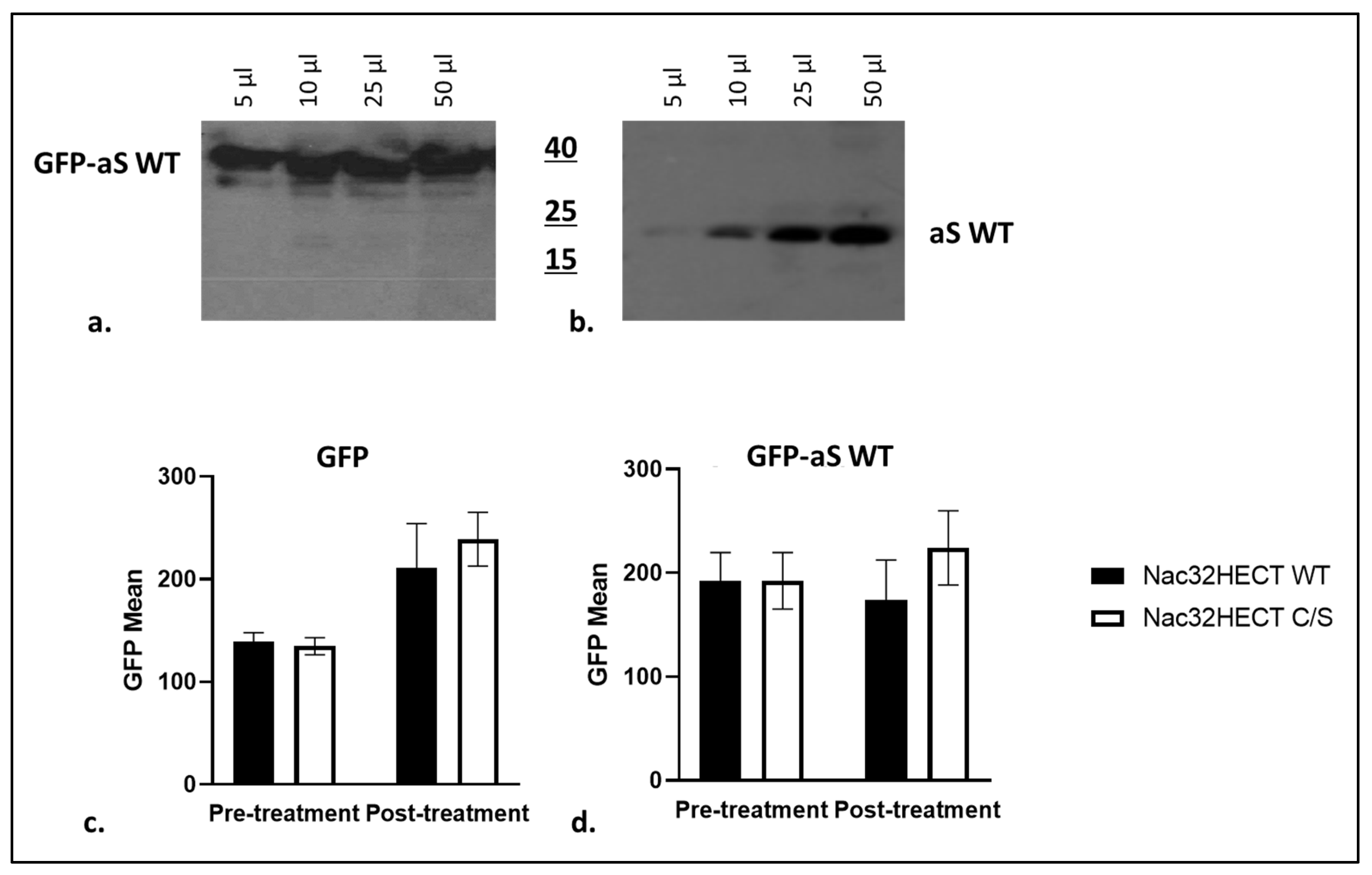 Cells 10 03256 g007 Cells 10 03256 g007