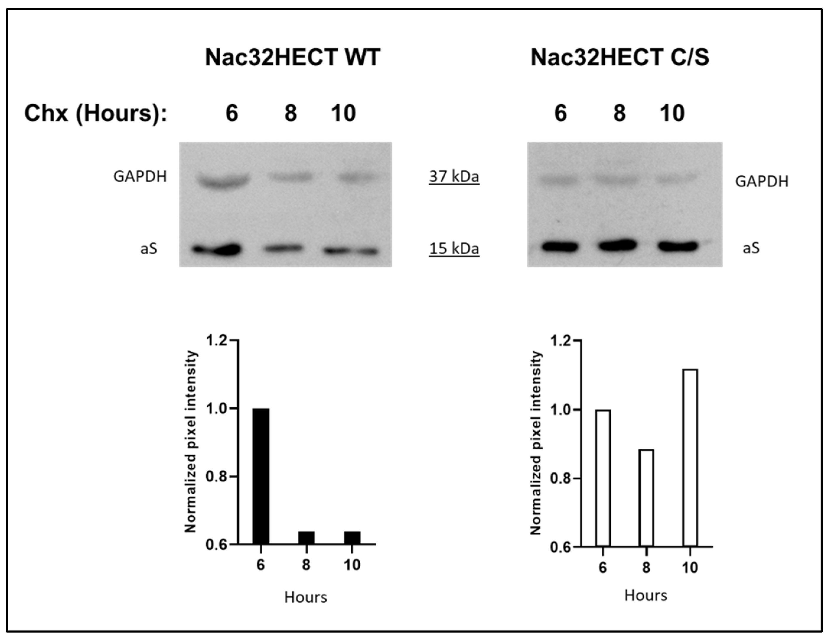 Cells 10 03256 g009 Cells 10 03256 g009