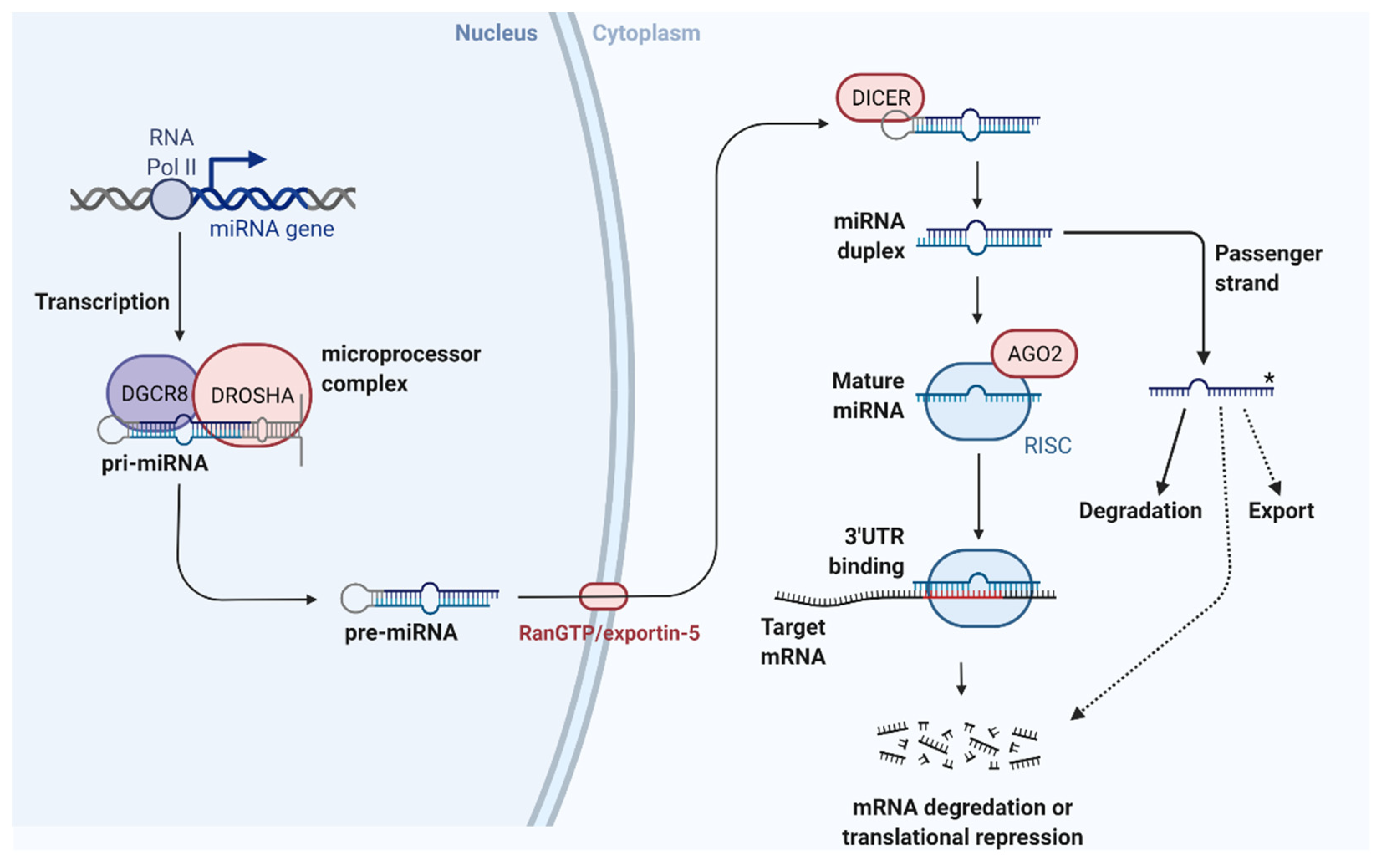 Cells 10 03274 g001 Cells 10 03274 g001