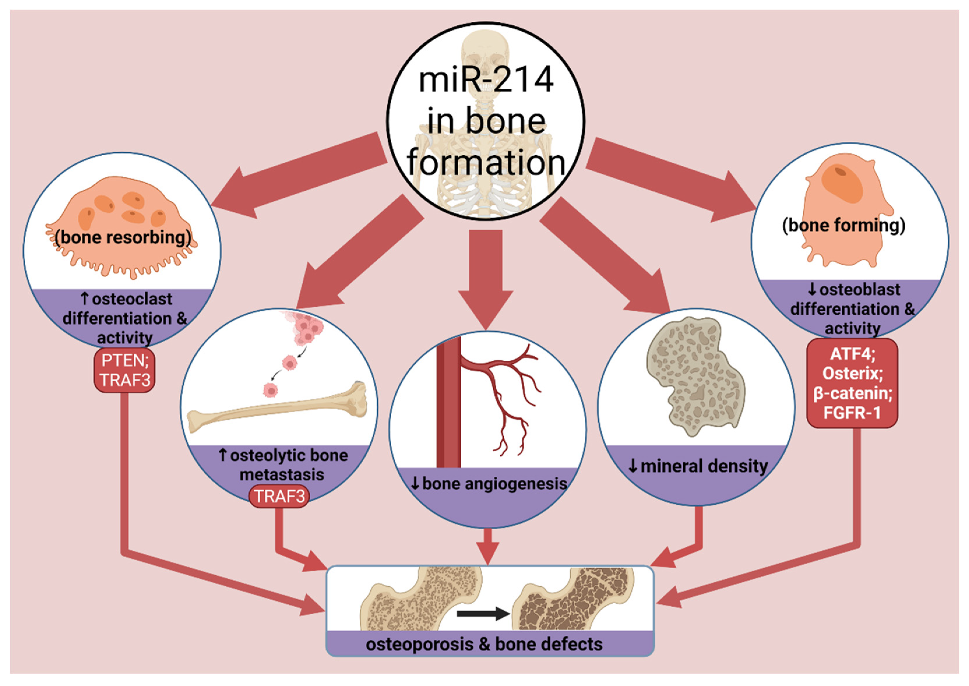 Cells 10 03274 g006 Cells 10 03274 g006