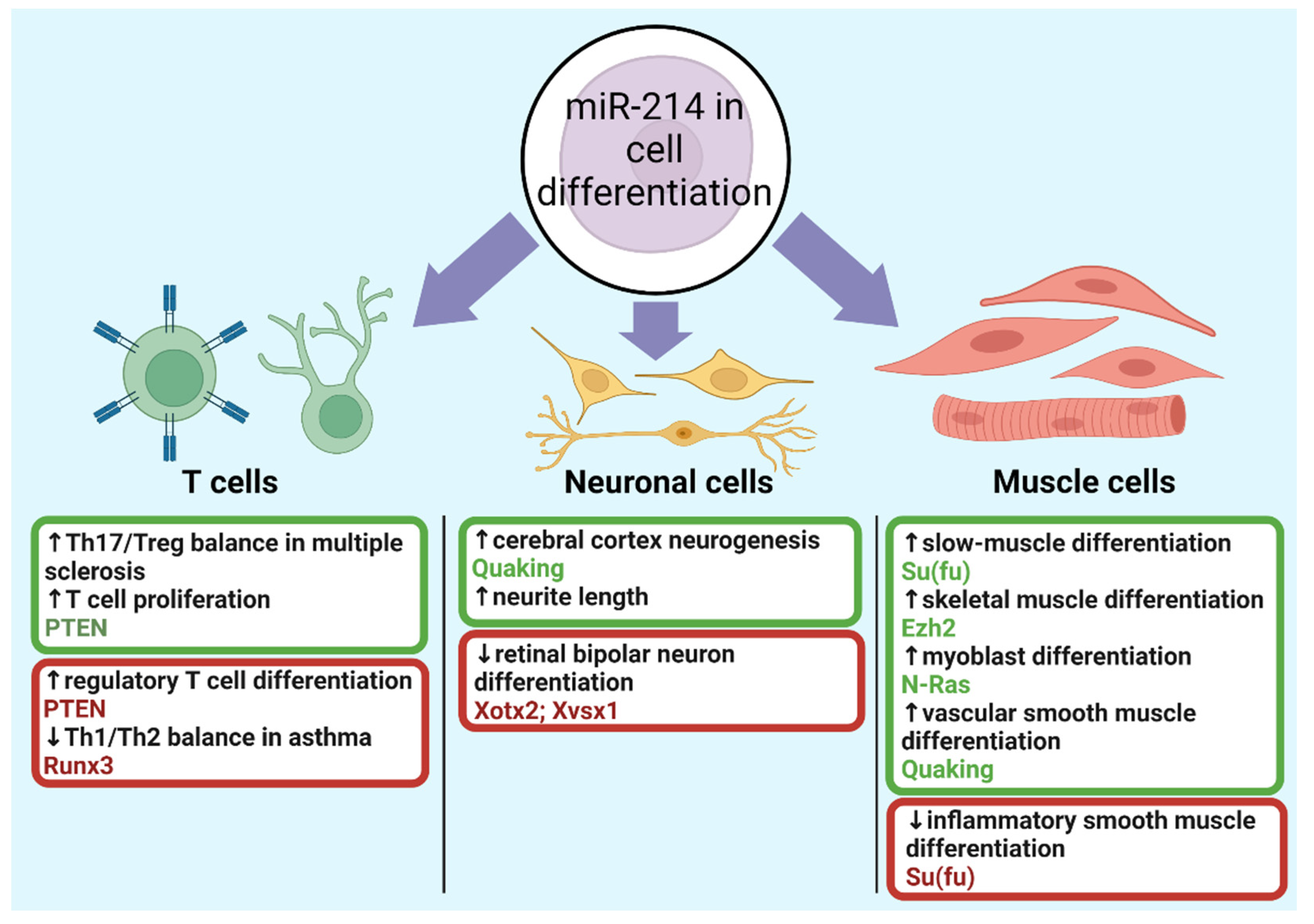 Cells 10 03274 g007 Cells 10 03274 g007
