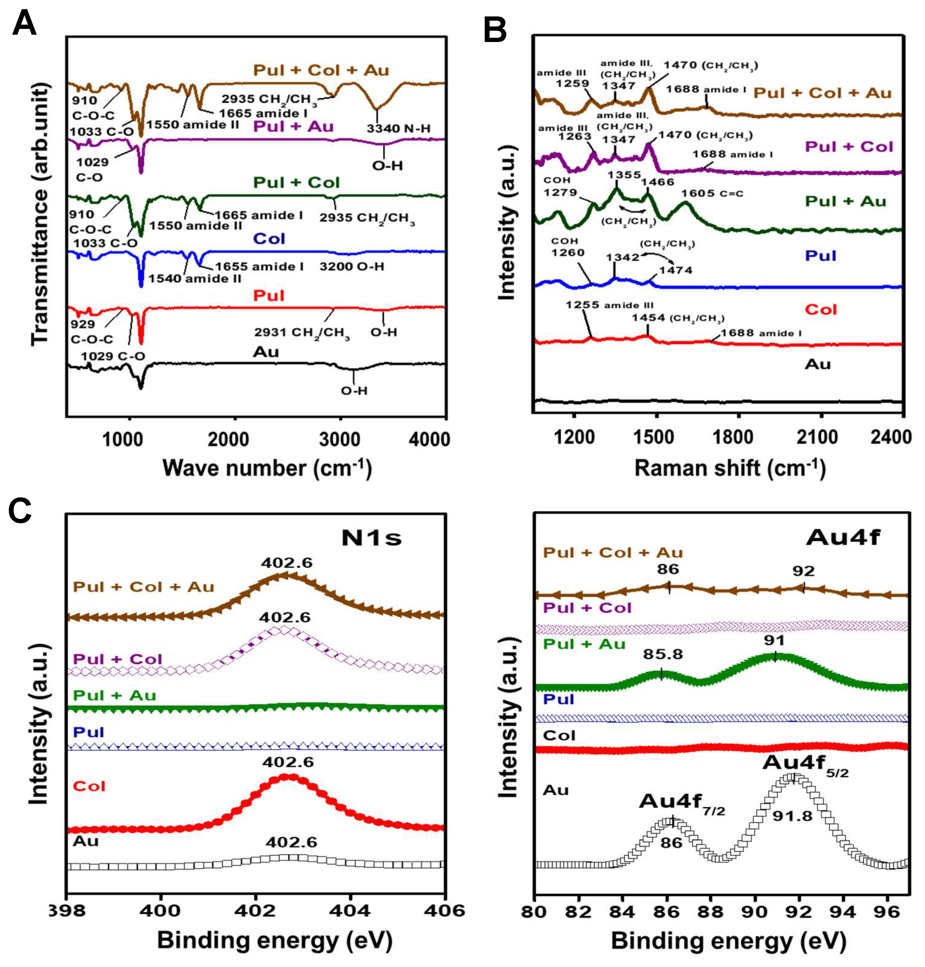 Cells 10 03276 g002 Cells 10 03276 g002