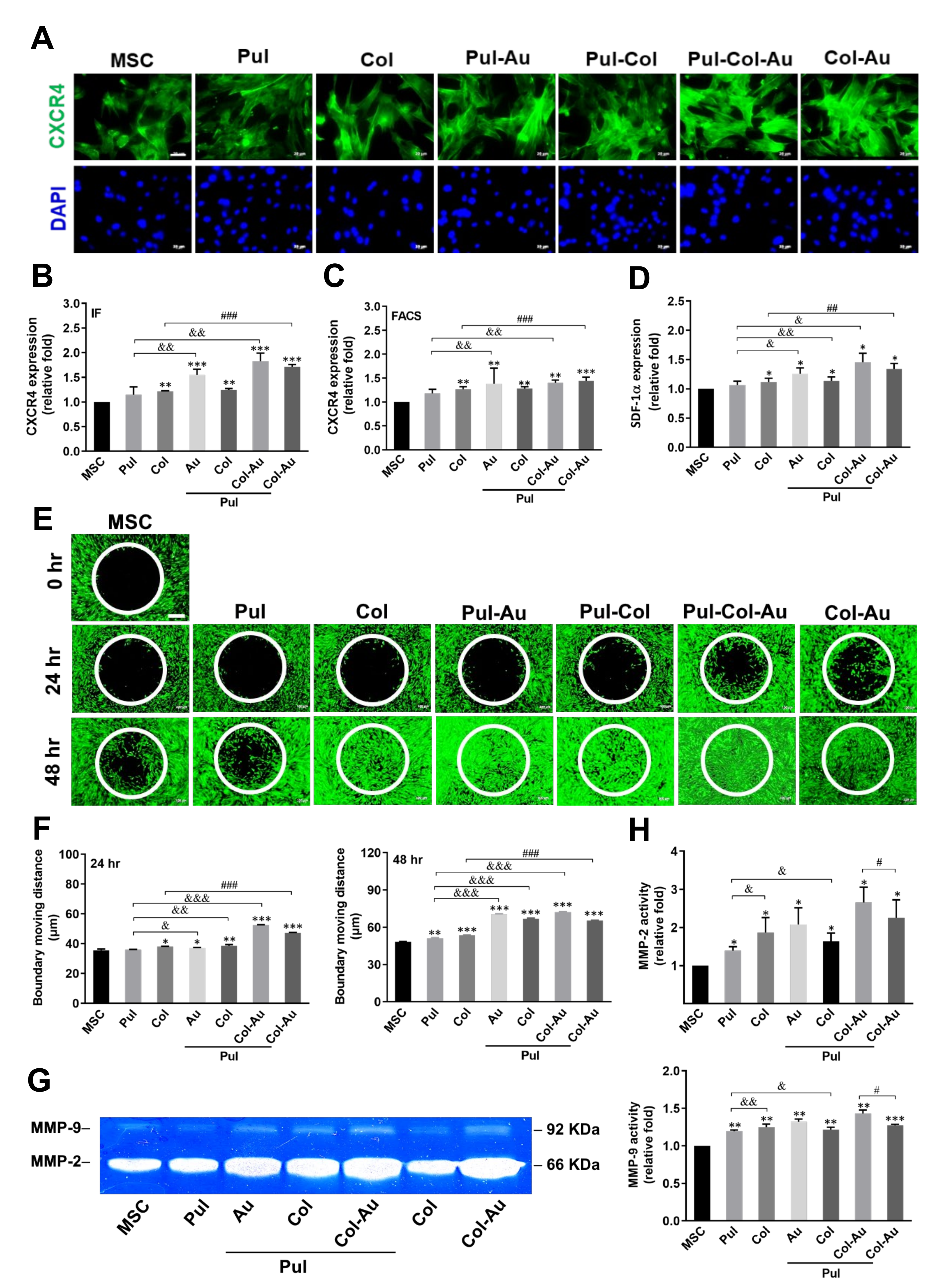 Cells 10 03276 g006 Cells 10 03276 g006