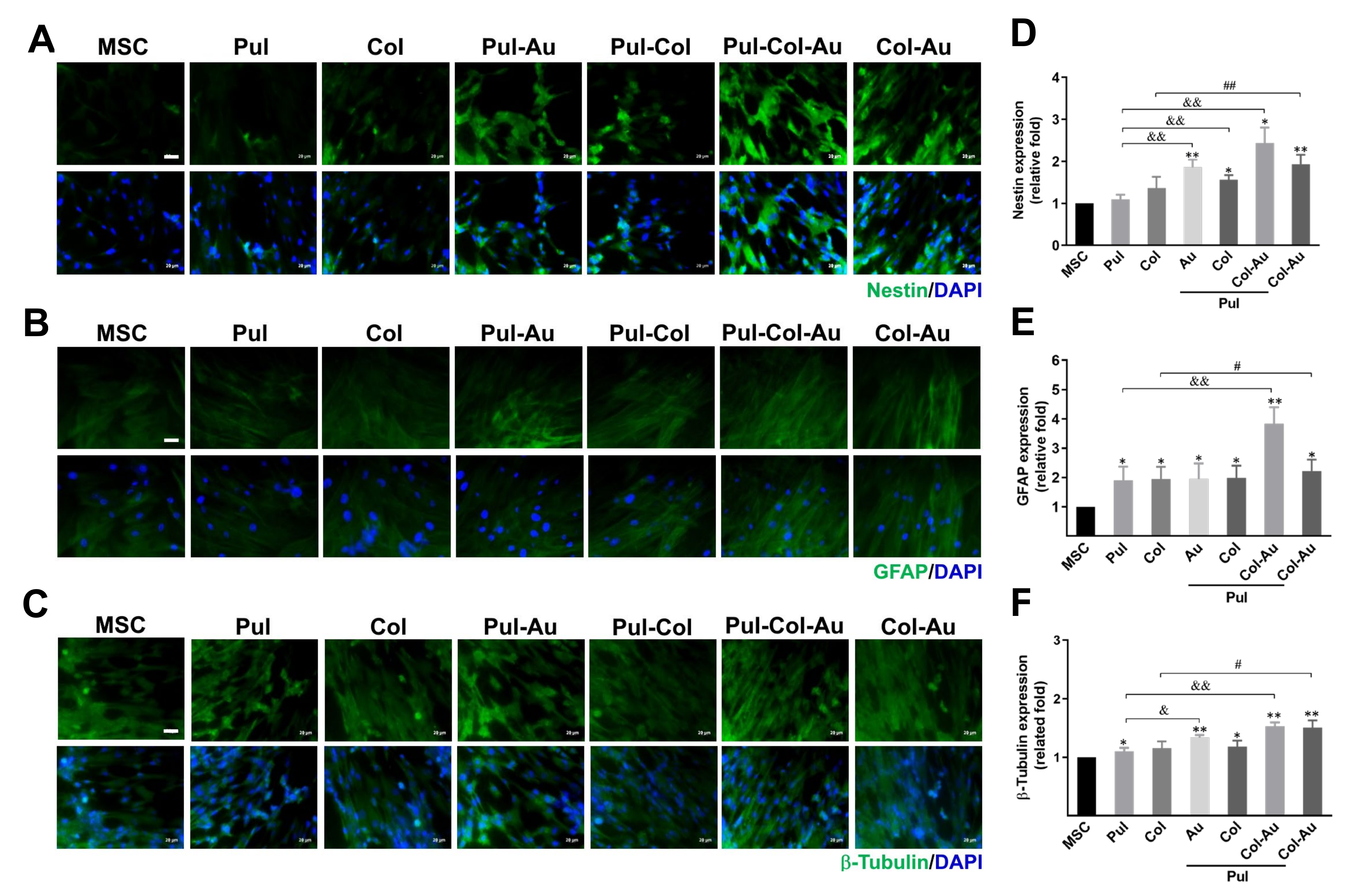 Cells 10 03276 g007 Cells 10 03276 g007