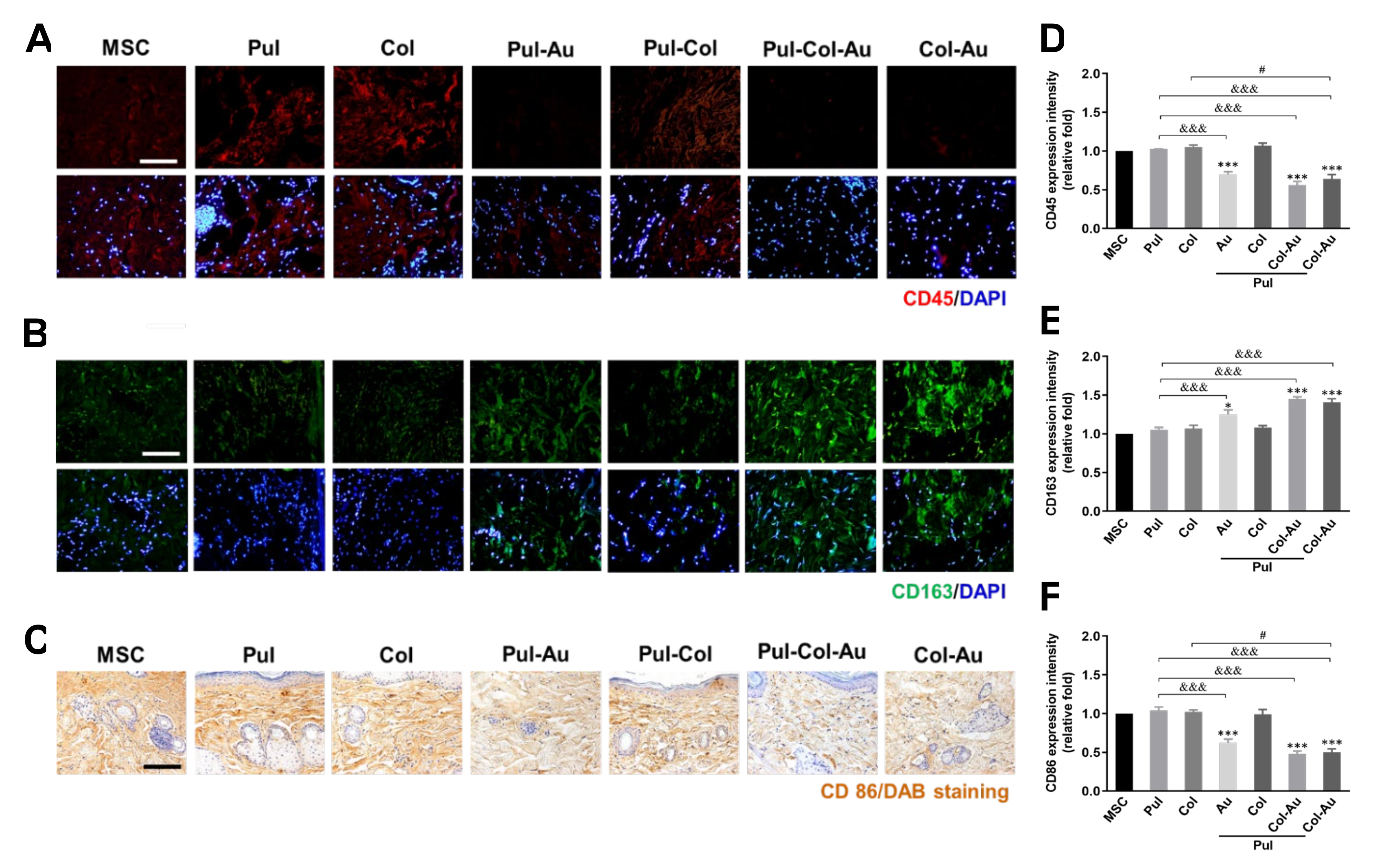 Cells 10 03276 g008 Cells 10 03276 g008