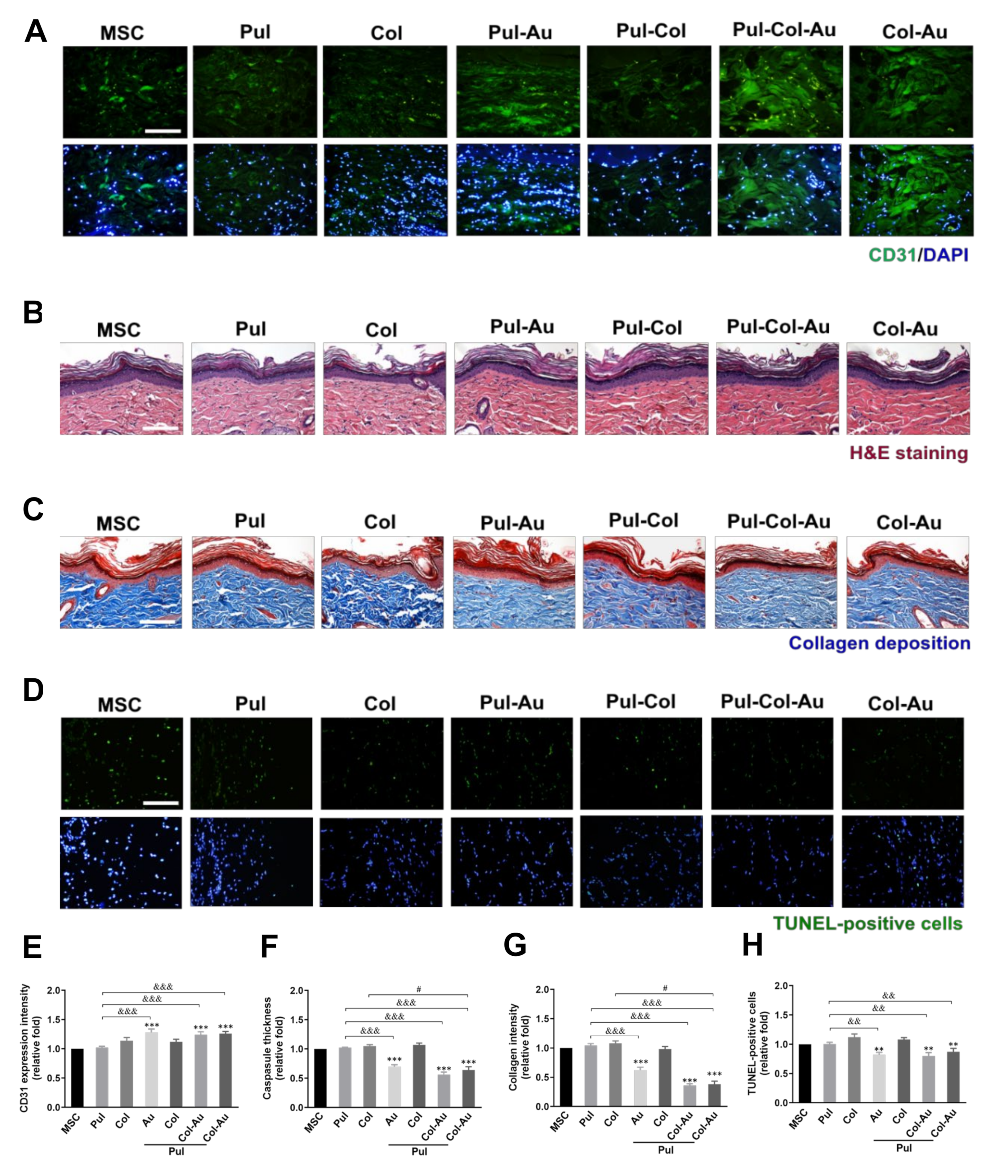Cells 10 03276 g009 Cells 10 03276 g009