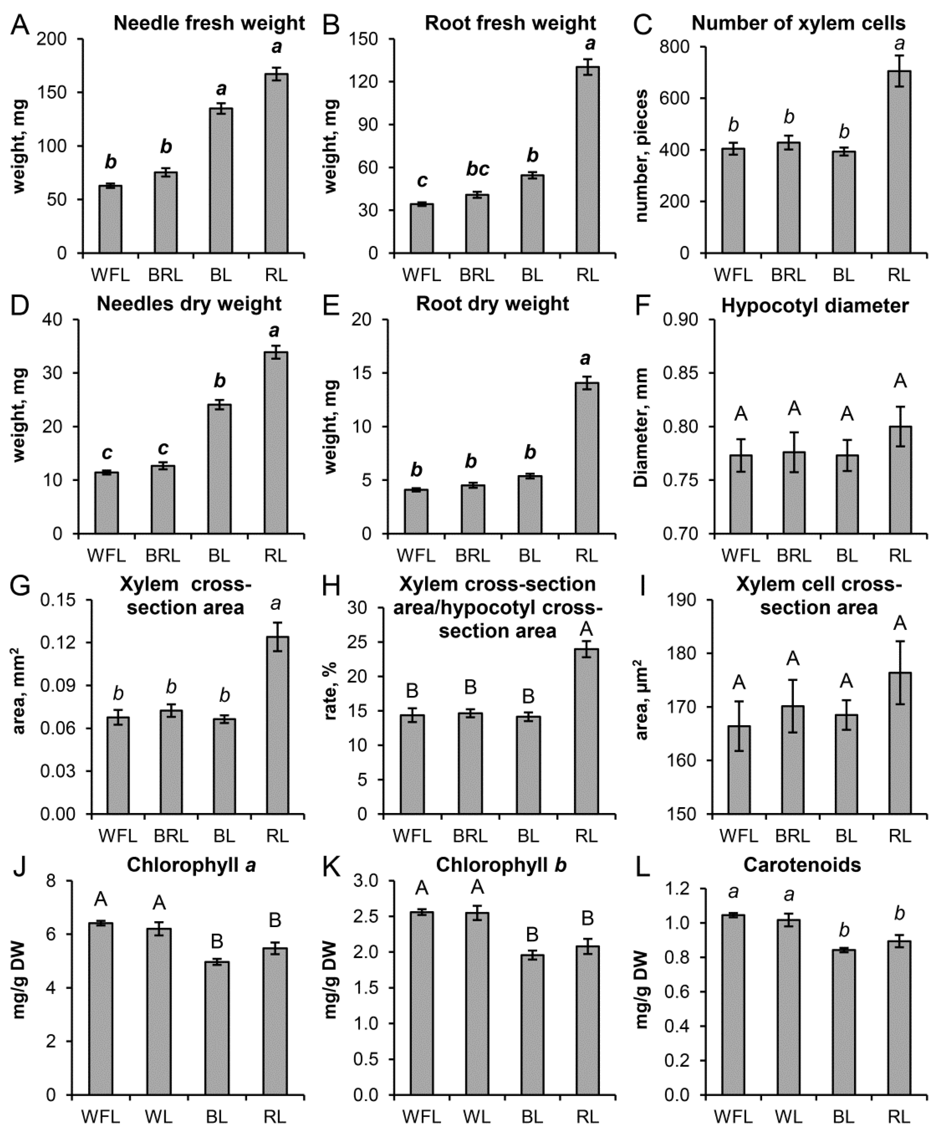 Cells 10 03284 g003 Cells 10 03284 g003