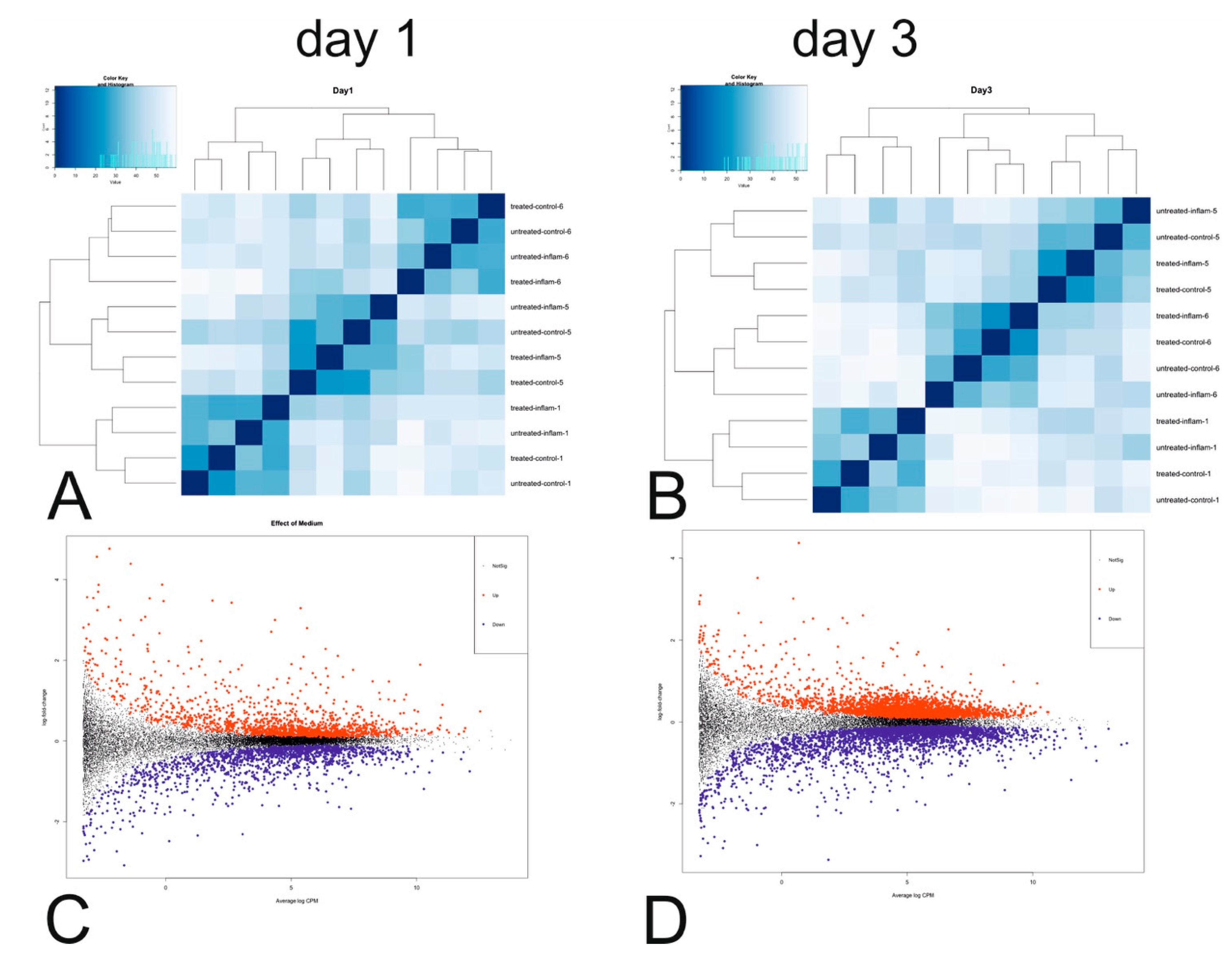 Cells 10 03310 g003a