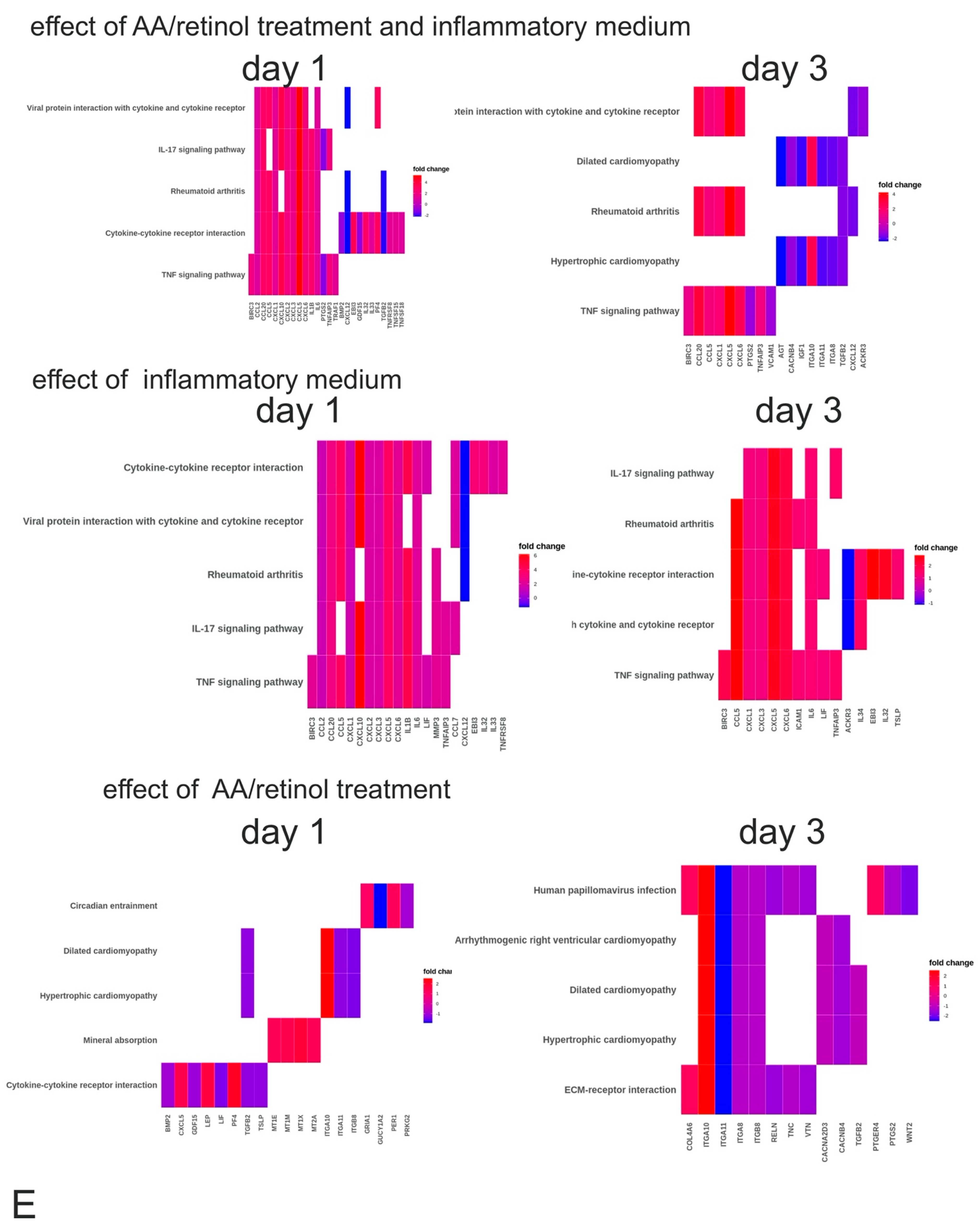 Cells 10 03310 g003b