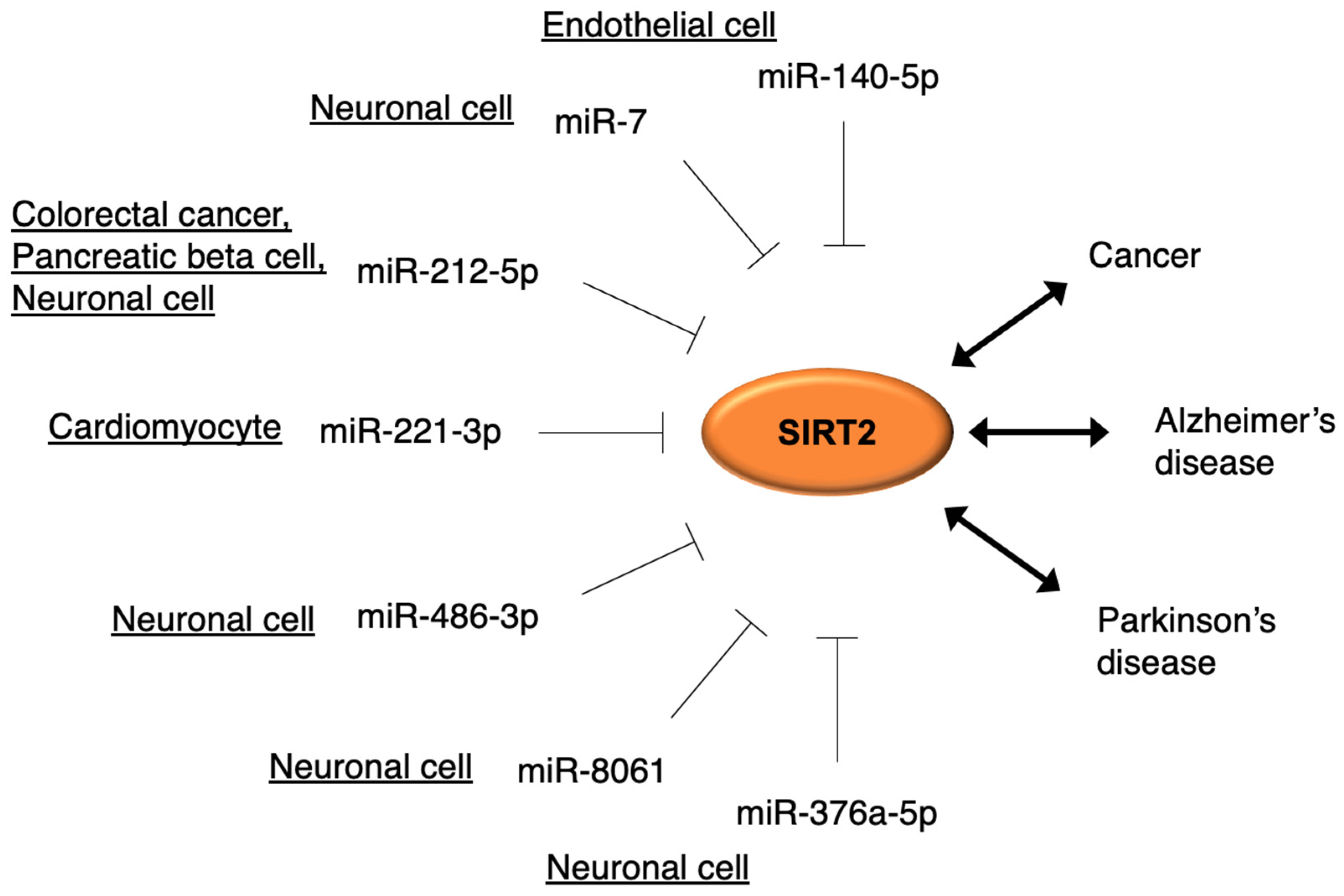 Cells 10 03316 g002 Cells 10 03316 g002