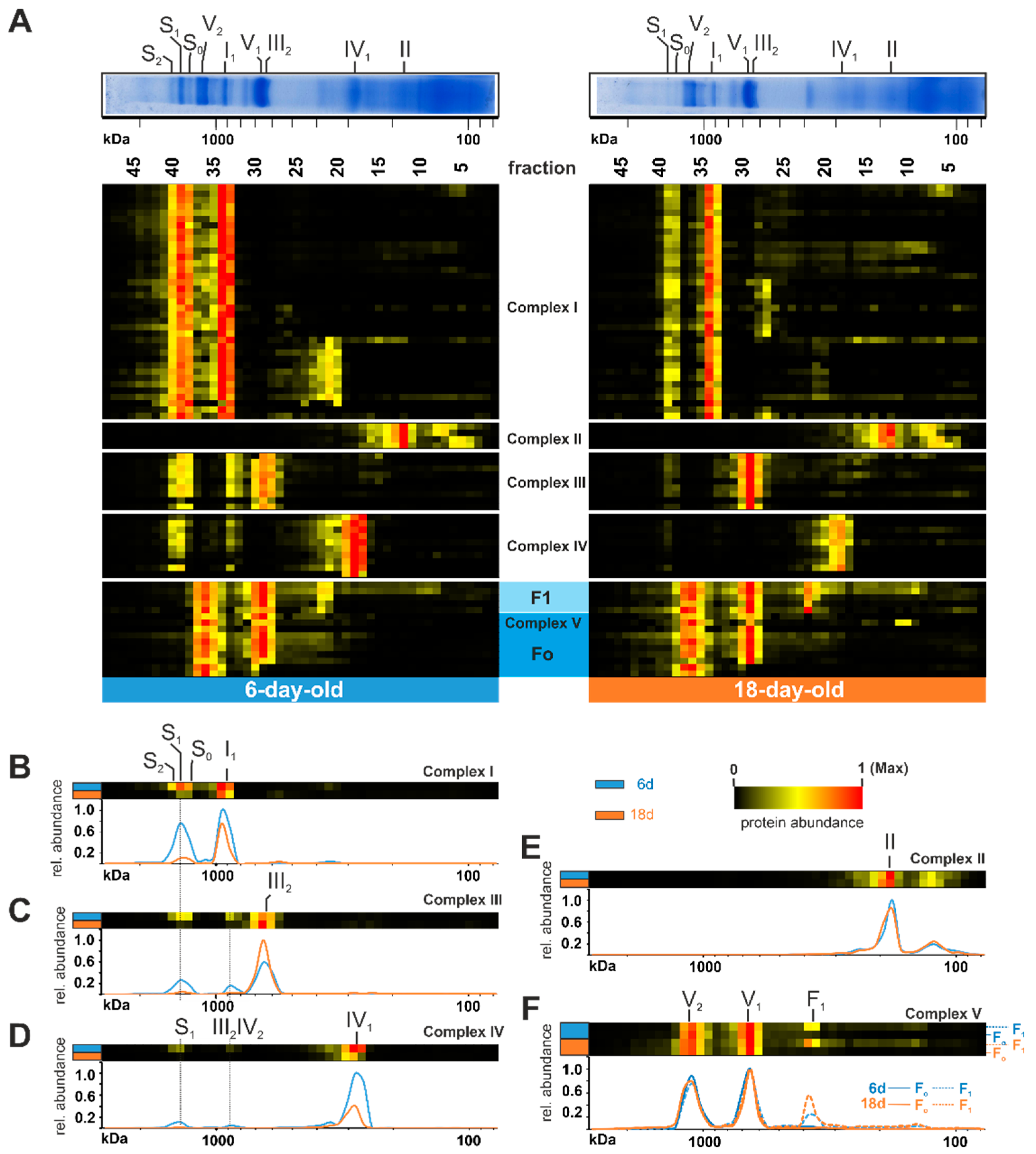 Cells 10 03319 g002 Cells 10 03319 g002