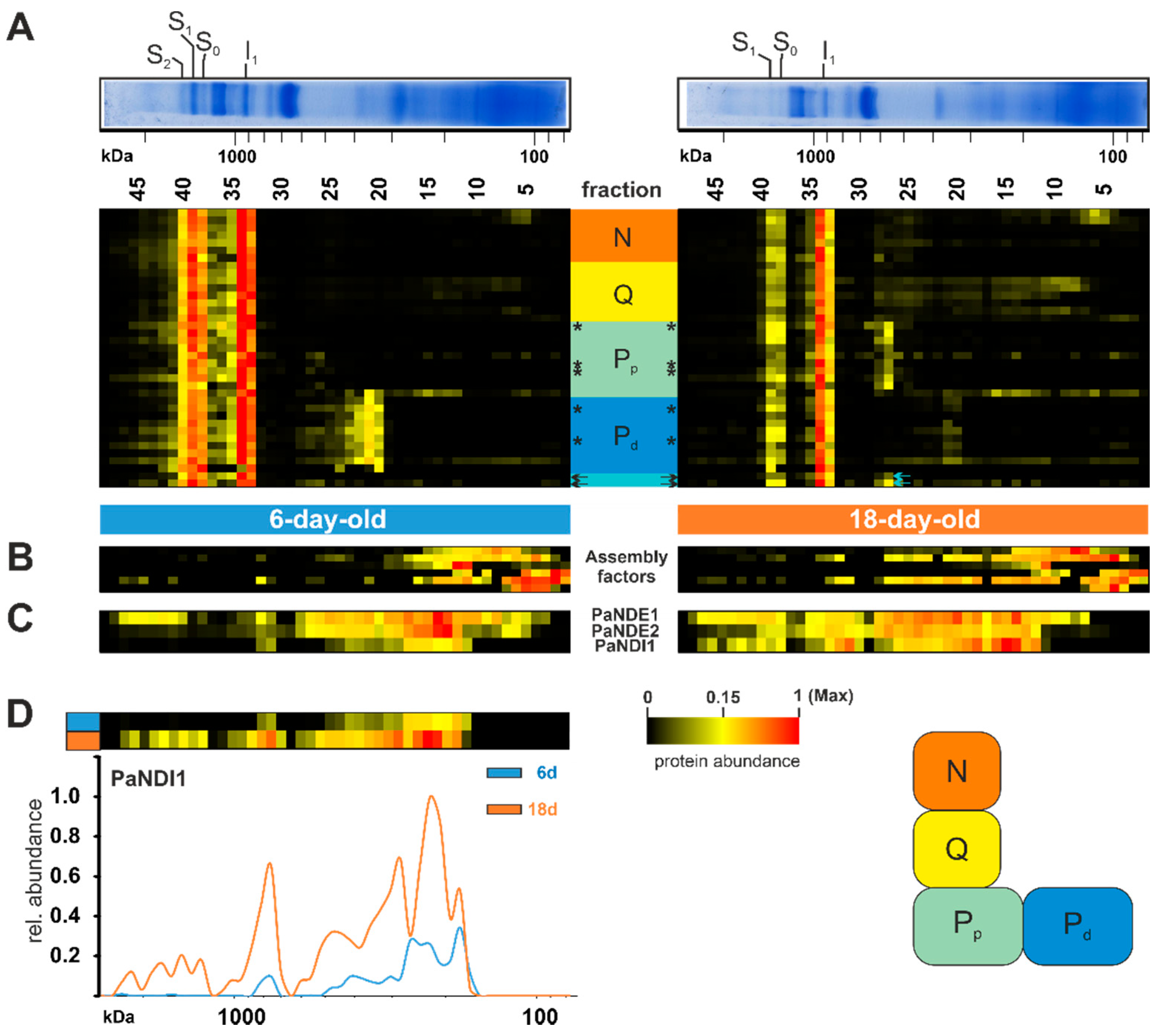 Cells 10 03319 g003 Cells 10 03319 g003