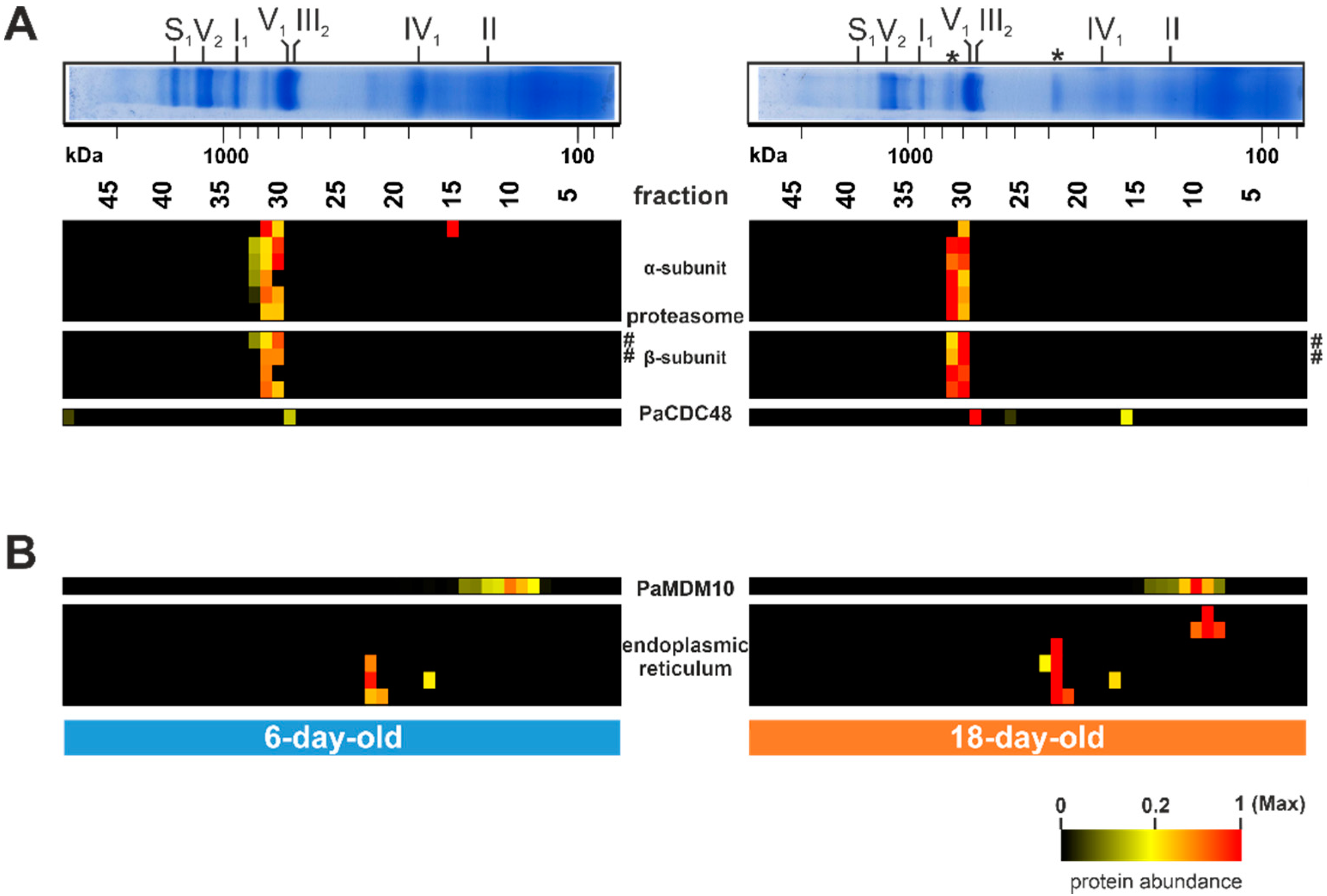 Cells 10 03319 g006 Cells 10 03319 g006