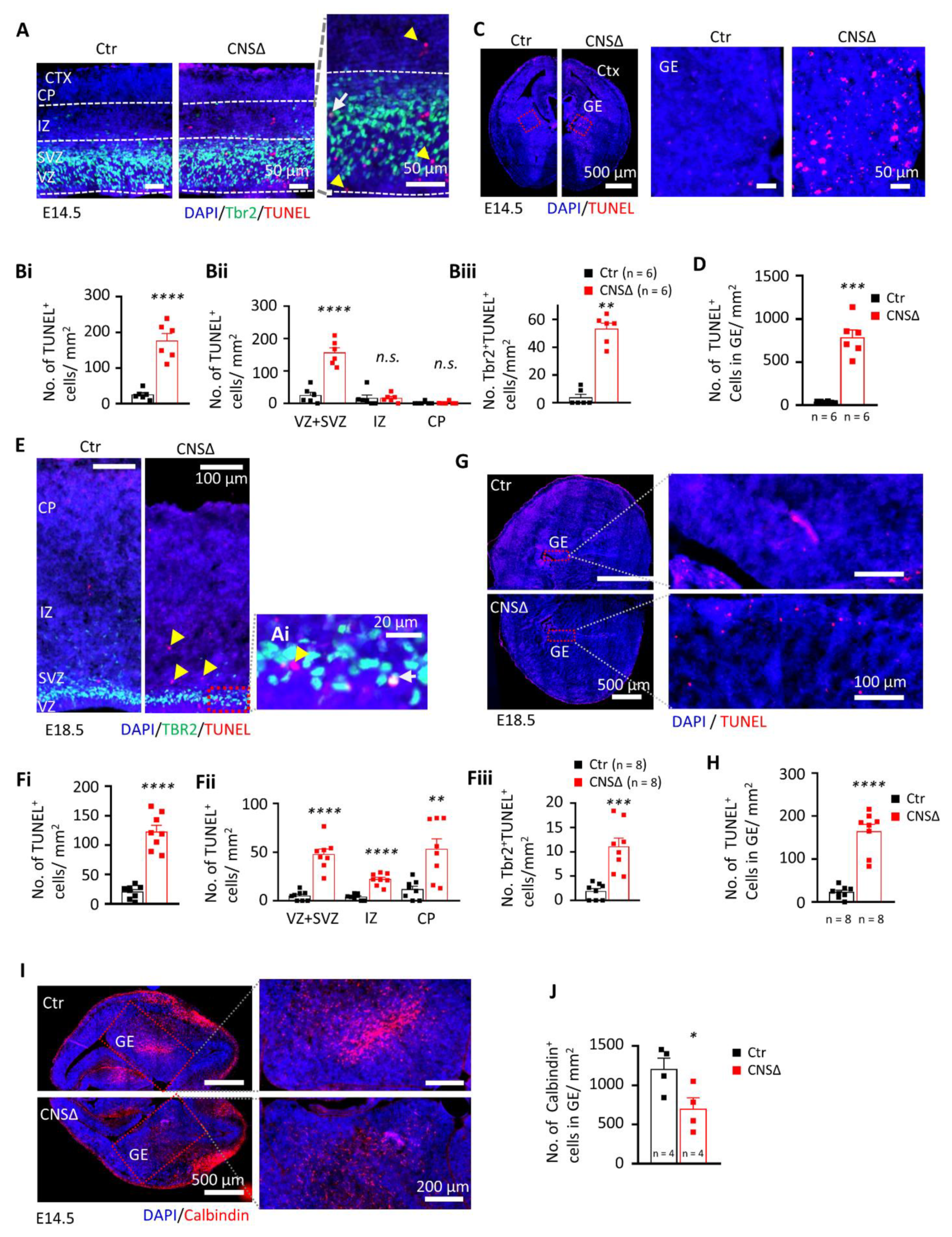 Cells 10 03365 g002 Cells 10 03365 g002