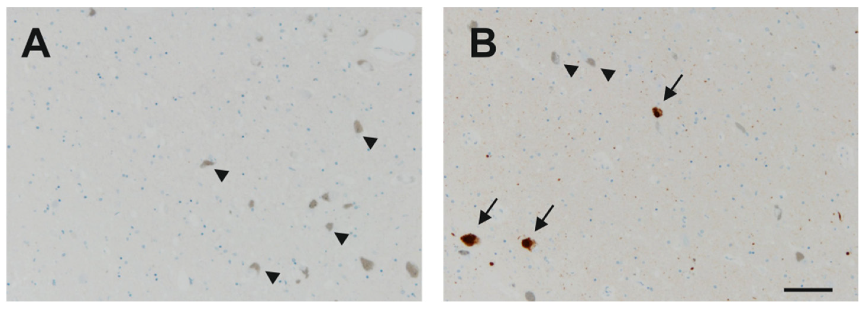 Cells 10 03368 g0a1 Cells 10 03368 g0a1