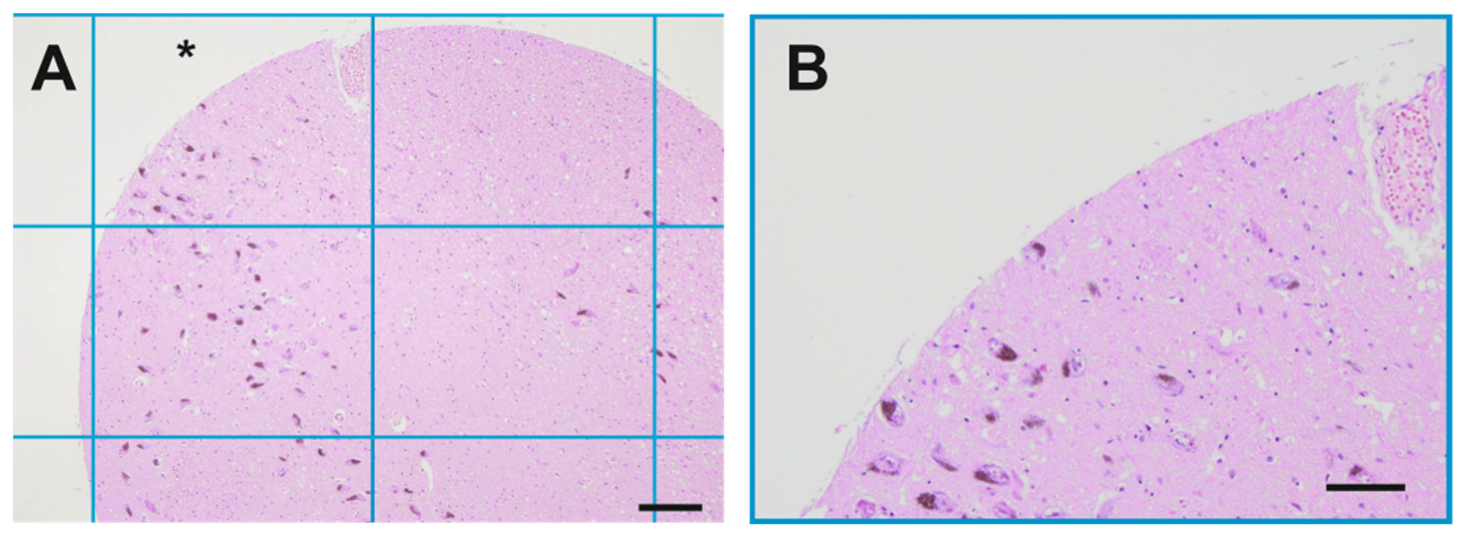 Cells 10 03368 g0a4 Cells 10 03368 g0a4