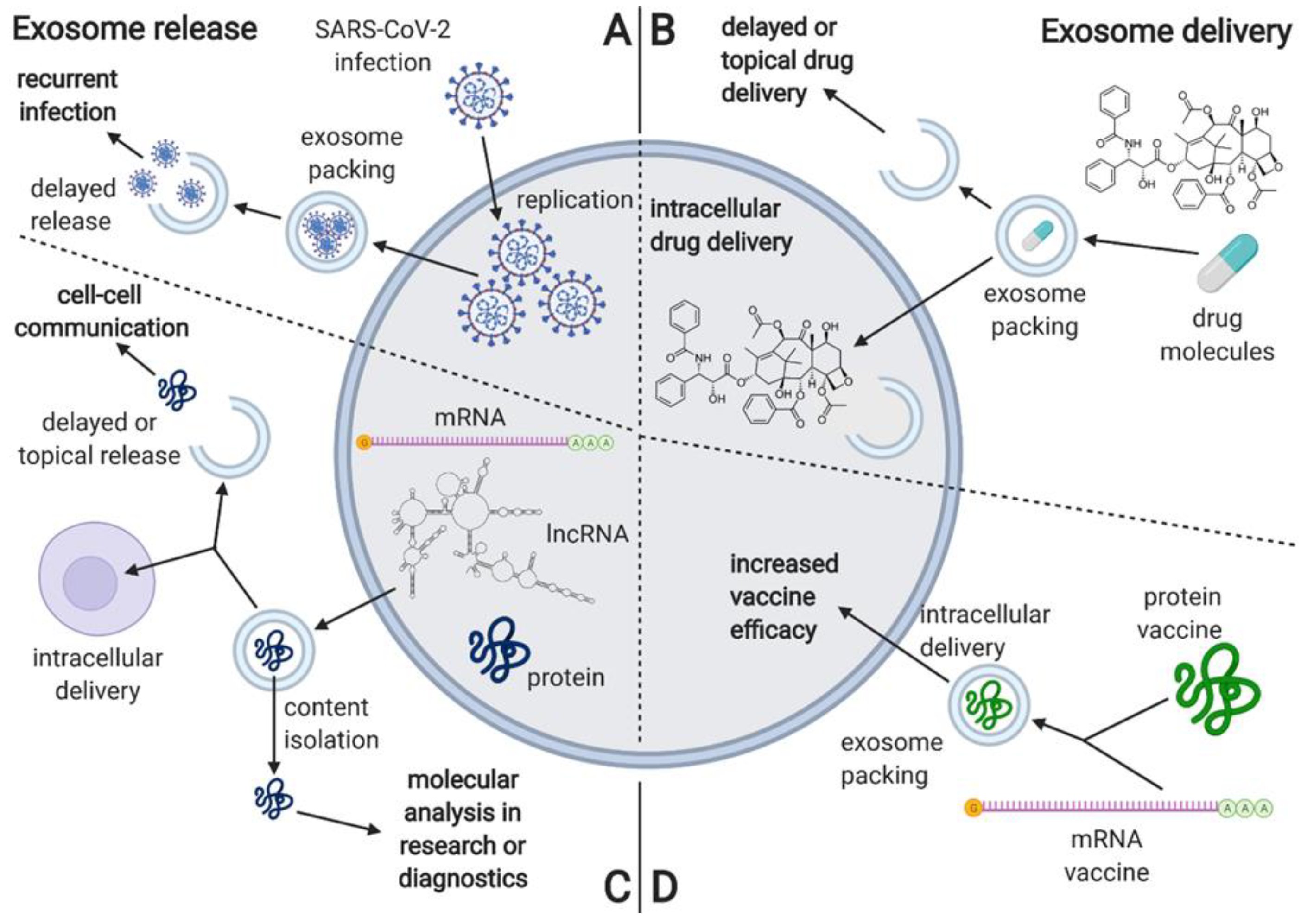 Cells 10 03383 g005 Cells 10 03383 g005