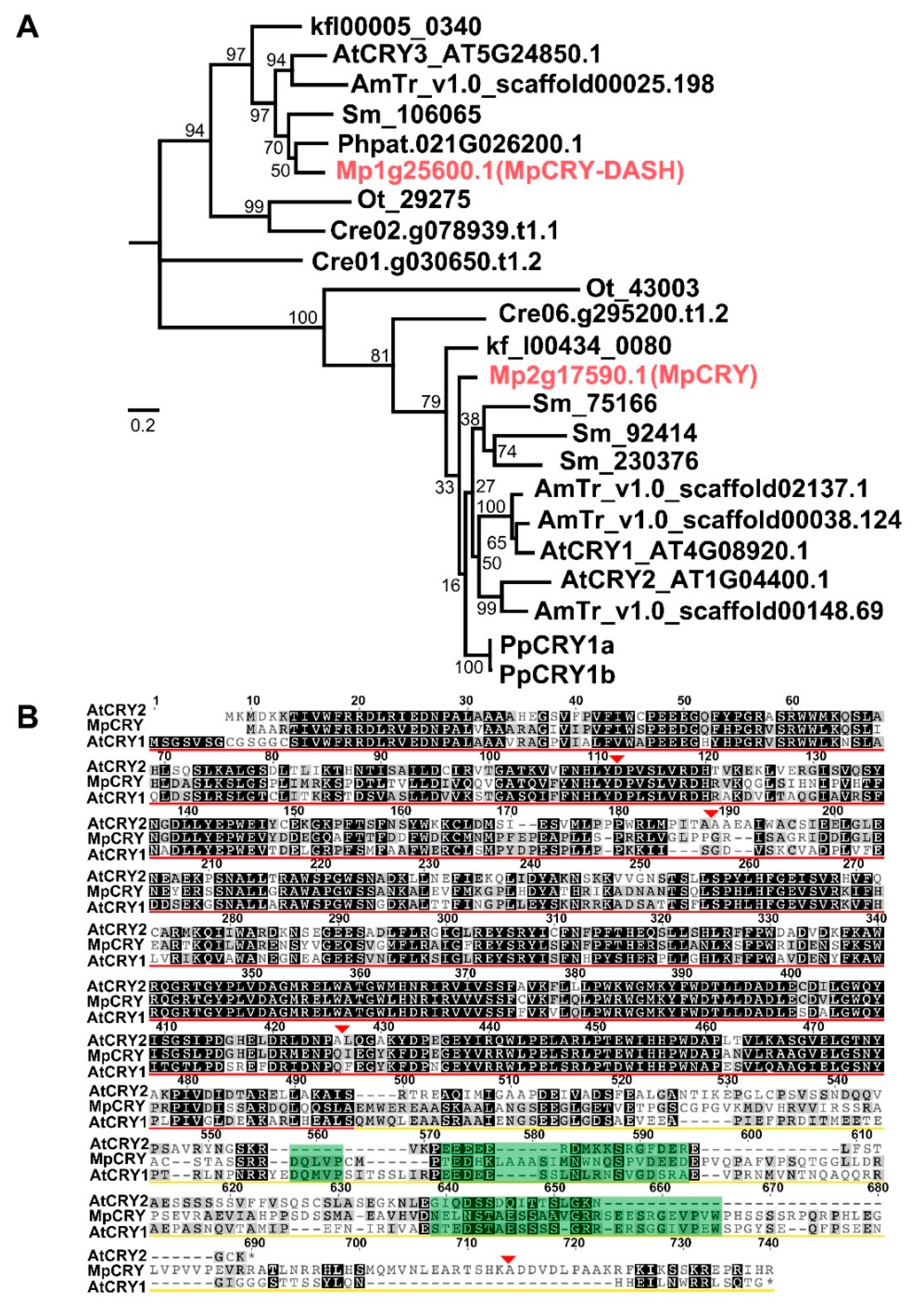 Cells 10 03387 g001 Cells 10 03387 g001