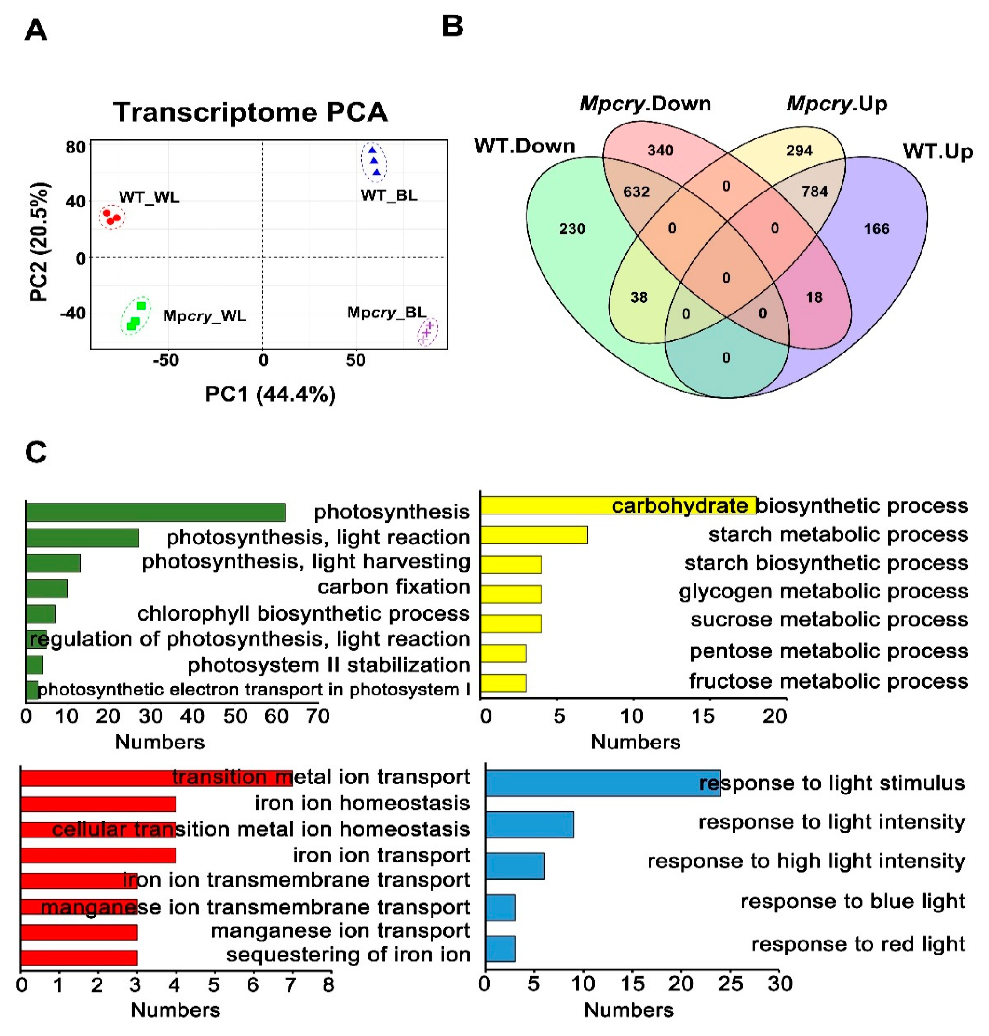 Cells 10 03387 g003 Cells 10 03387 g003