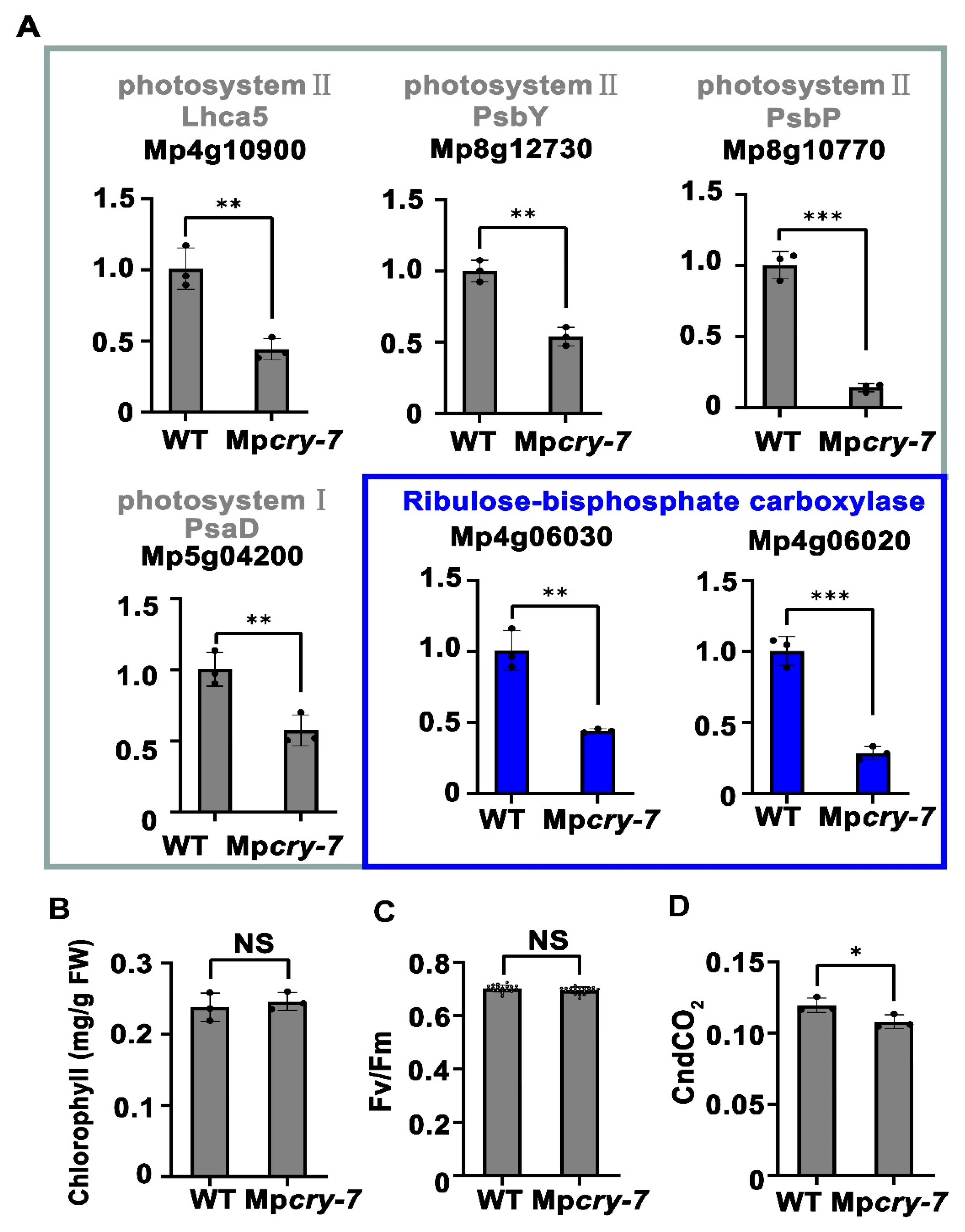 Cells 10 03387 g004 Cells 10 03387 g004