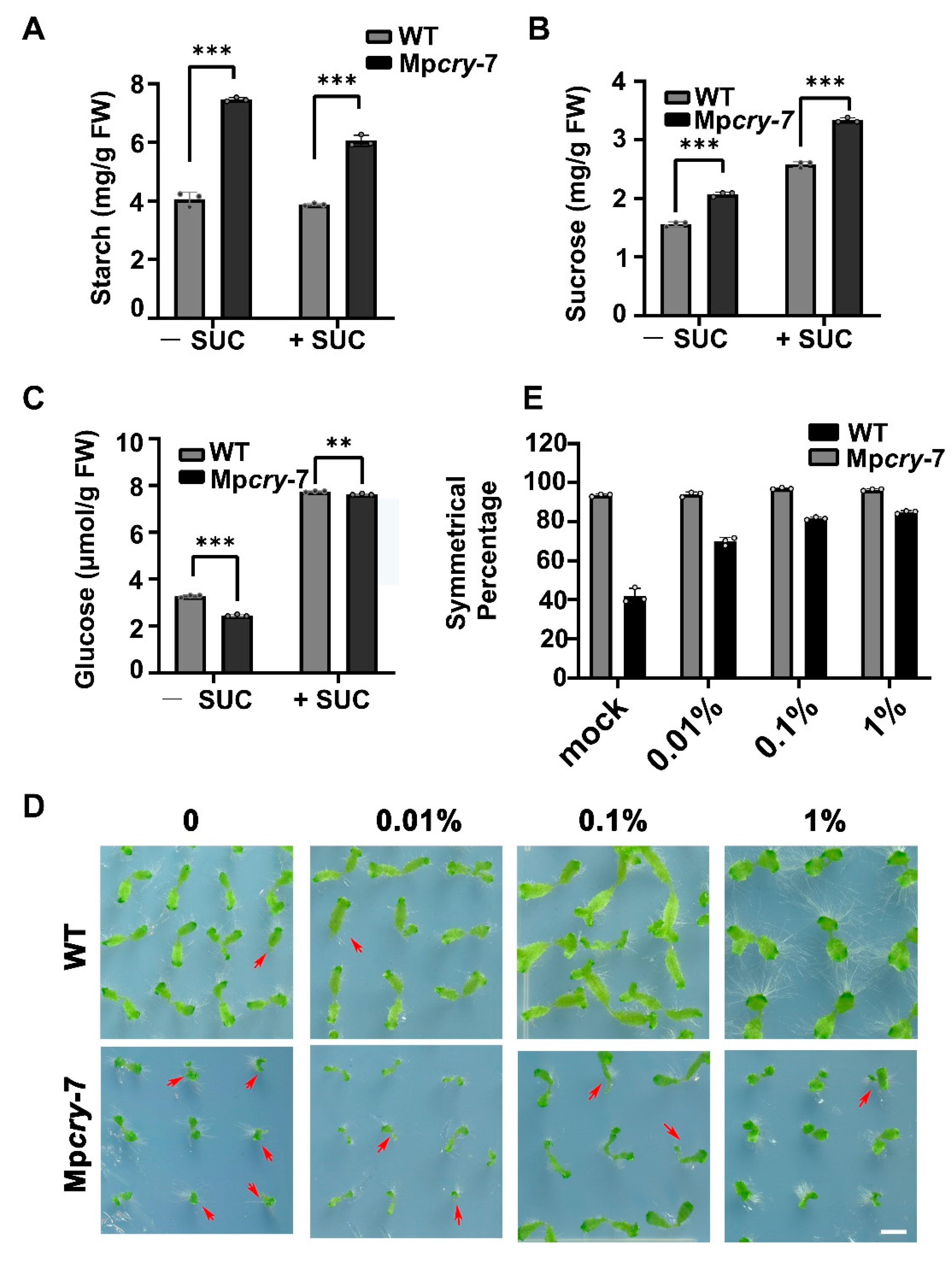 Cells 10 03387 g006 Cells 10 03387 g006