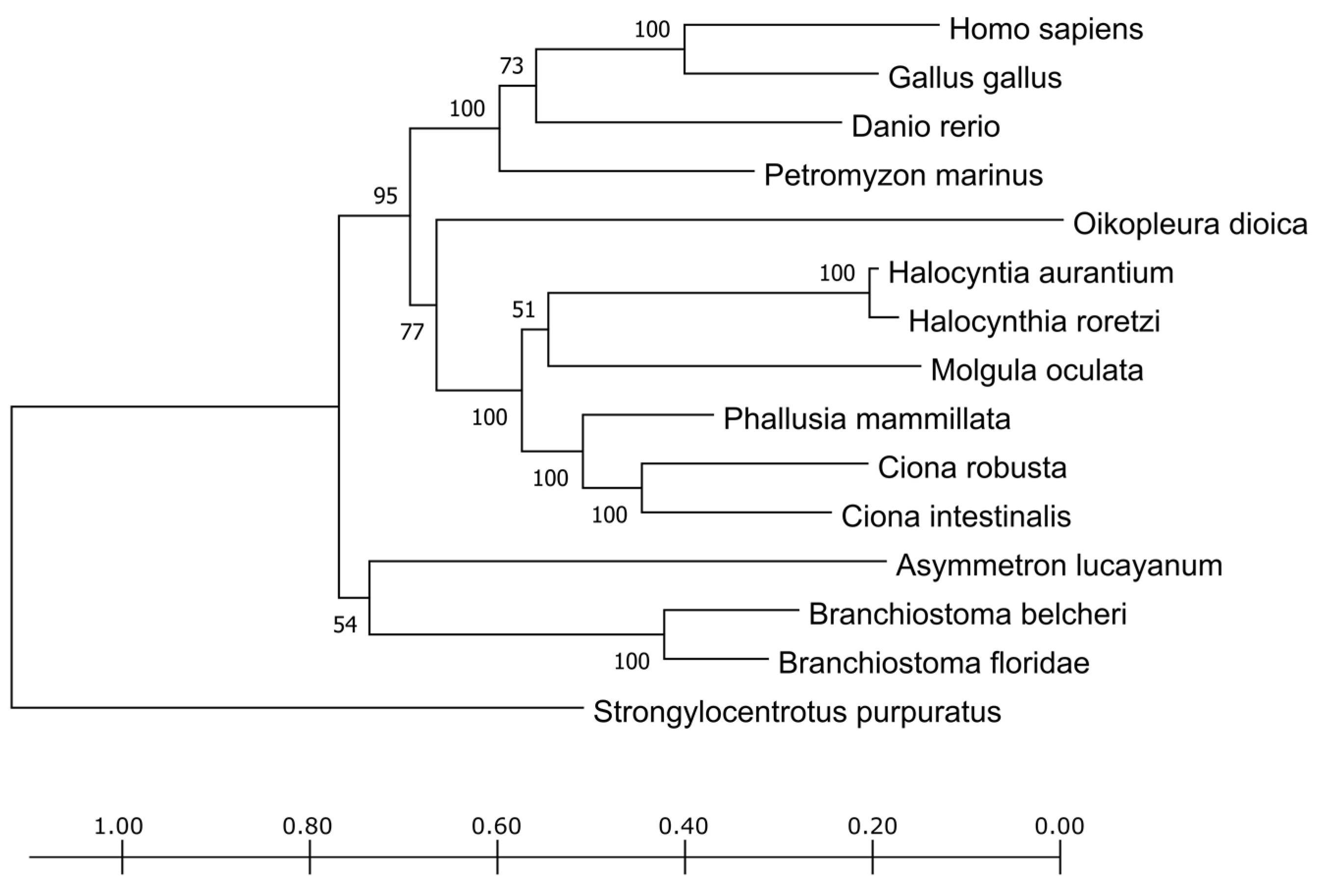 Cells 10 03391 g002 Cells 10 03391 g002