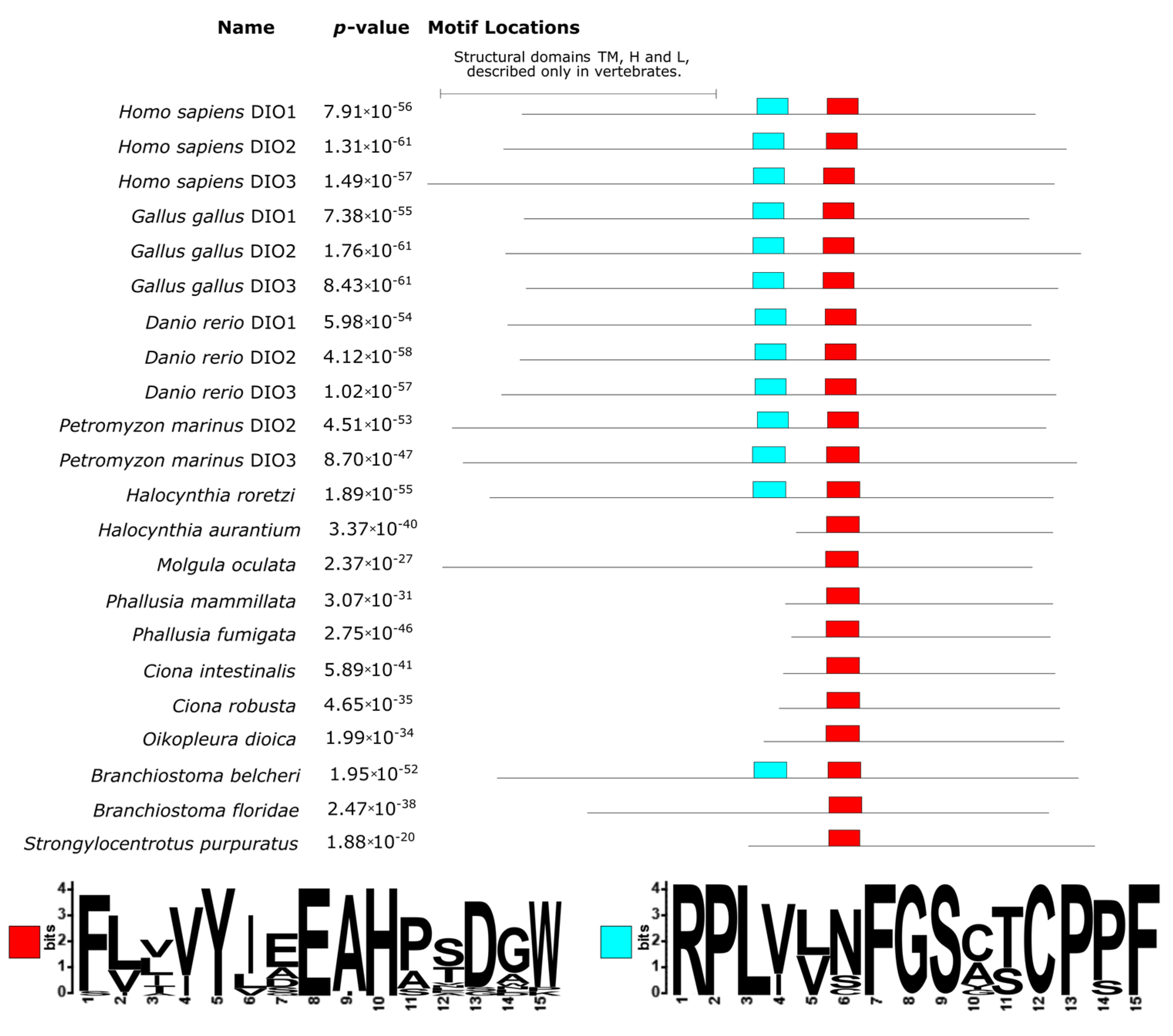 Cells 10 03391 g005 Cells 10 03391 g005