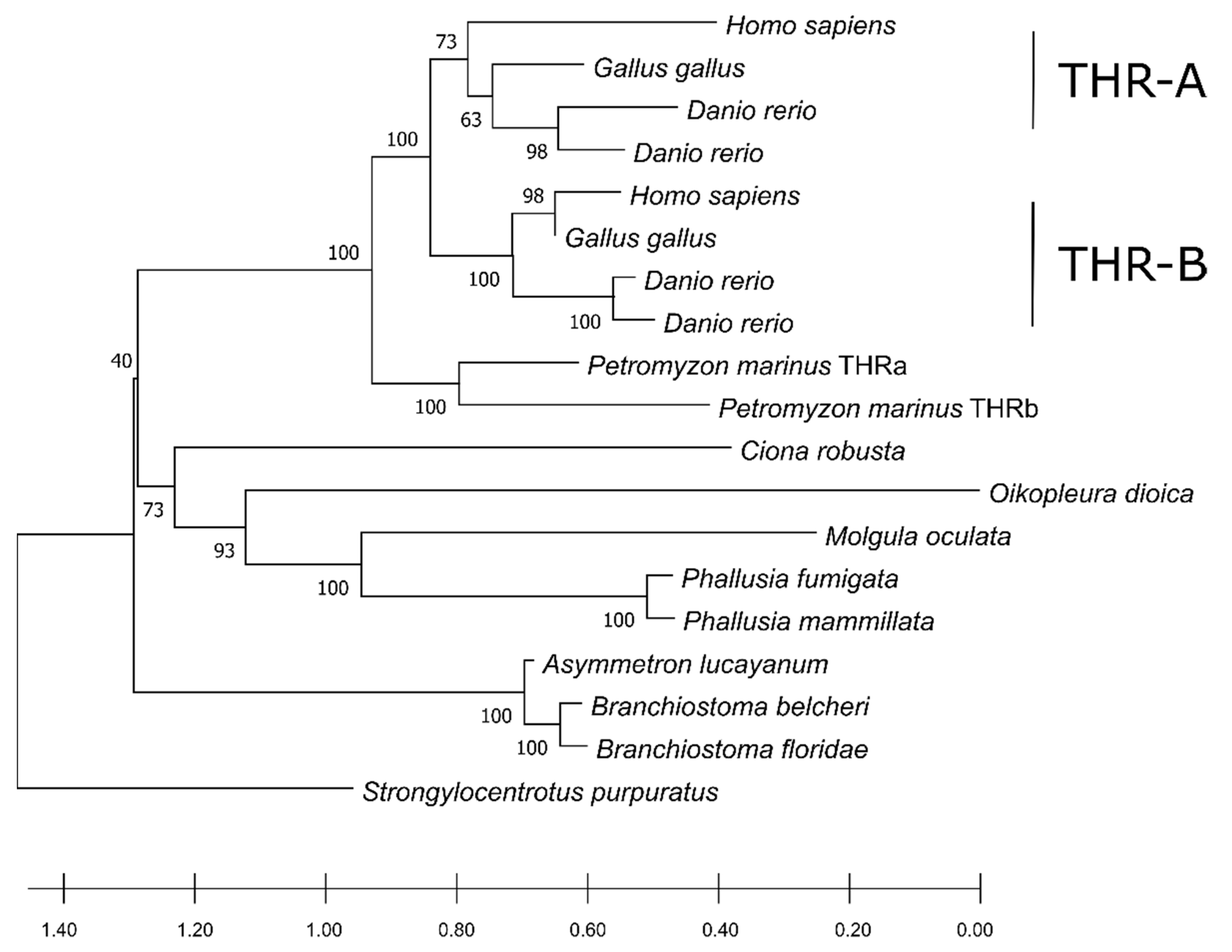 Cells 10 03391 g006 Cells 10 03391 g006