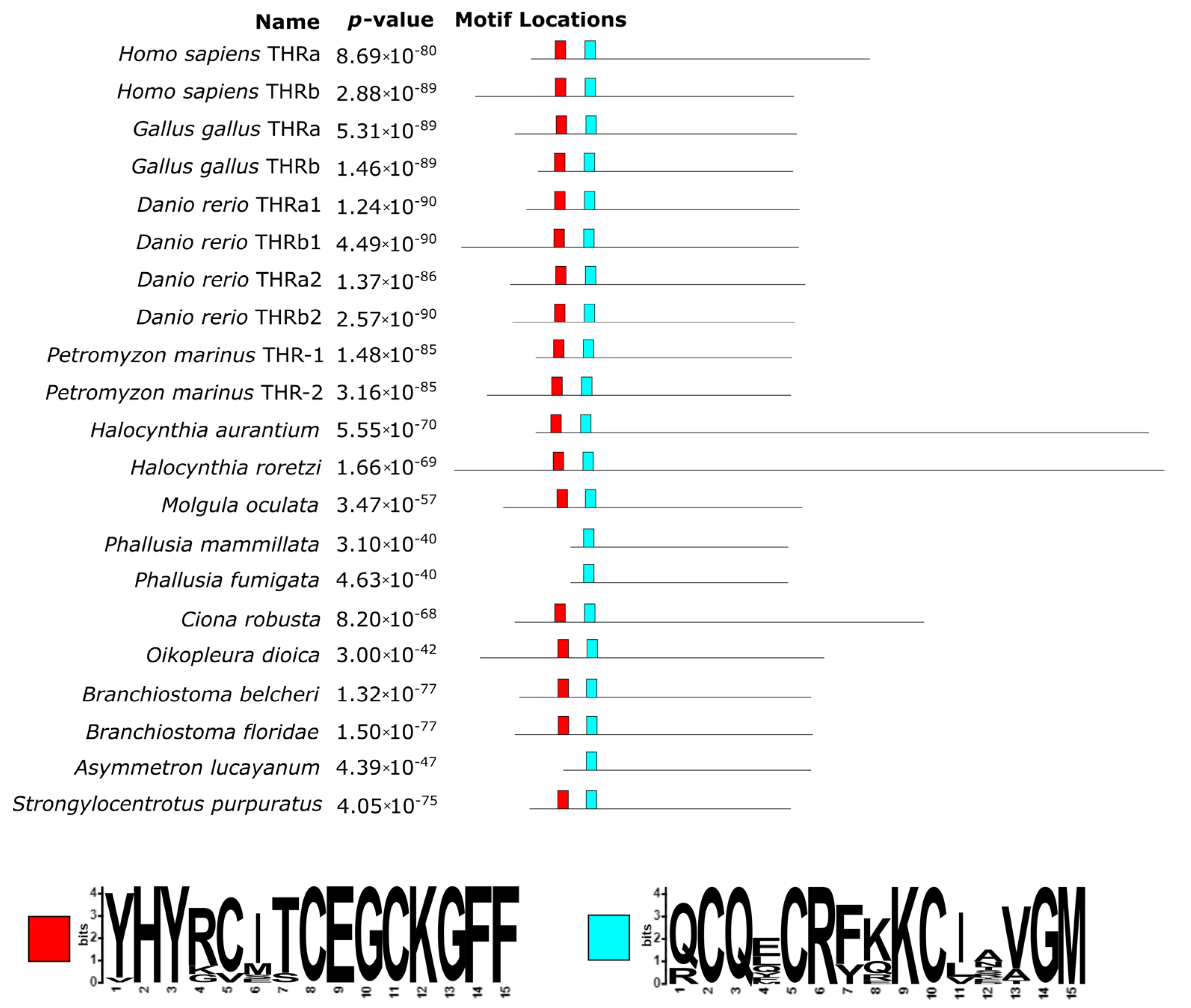 Cells 10 03391 g007 Cells 10 03391 g007