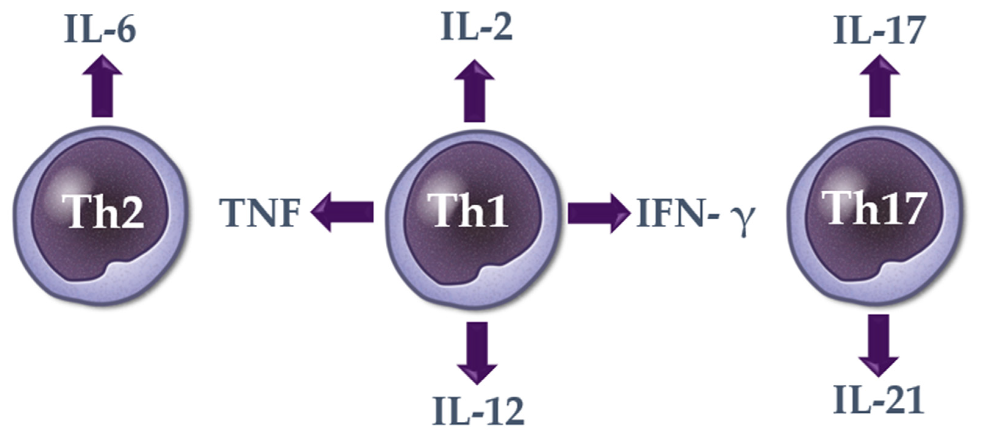 Cells 10 03397 g001 Cells 10 03397 g001