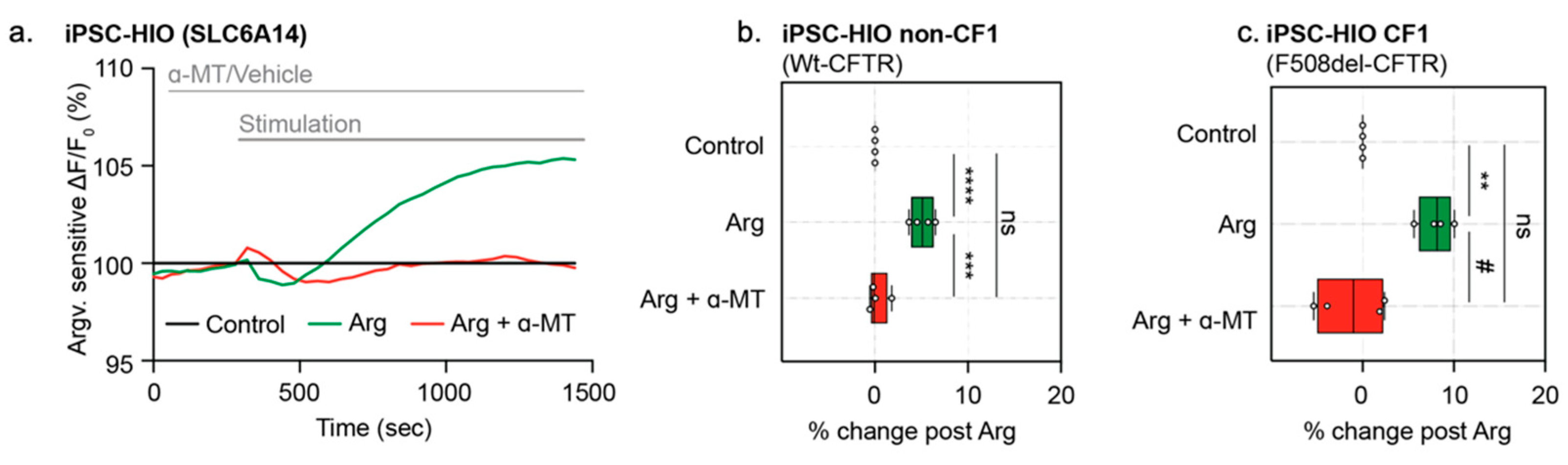 Cells 10 03419 g007 Cells 10 03419 g007